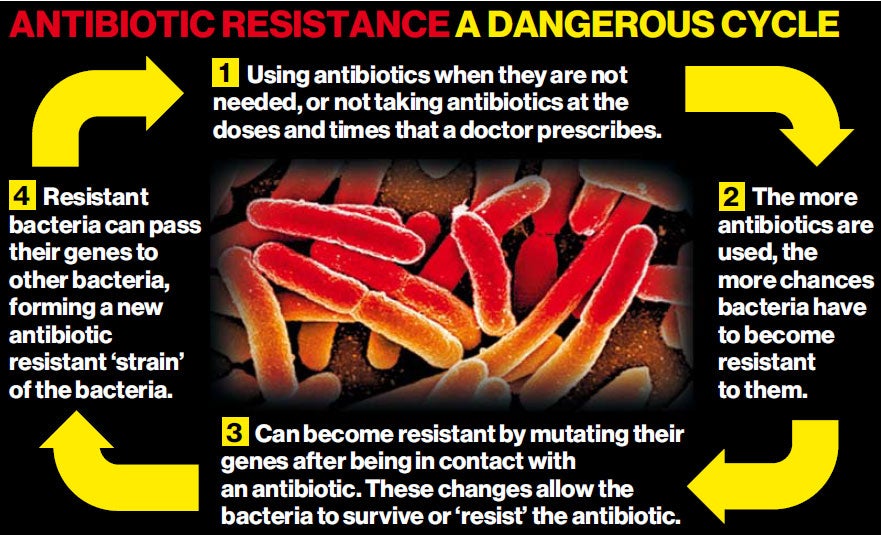 Antibiotic resistance cycle