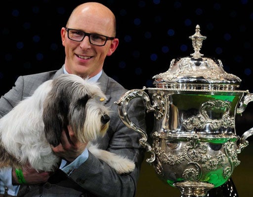 Jilly beat more than 20,000 other dogs to take the coveted Crufts title