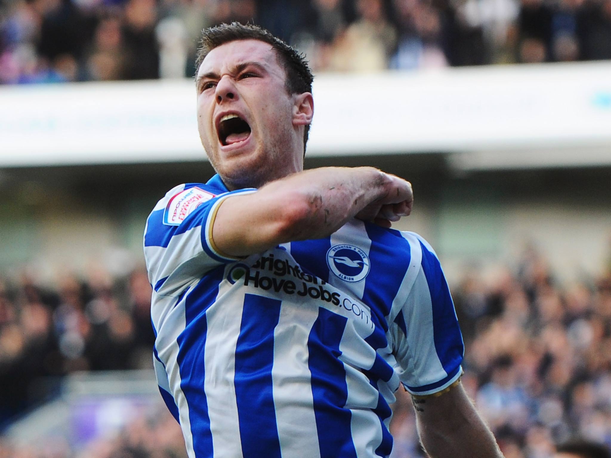 Brighton striker Ashley Barnes