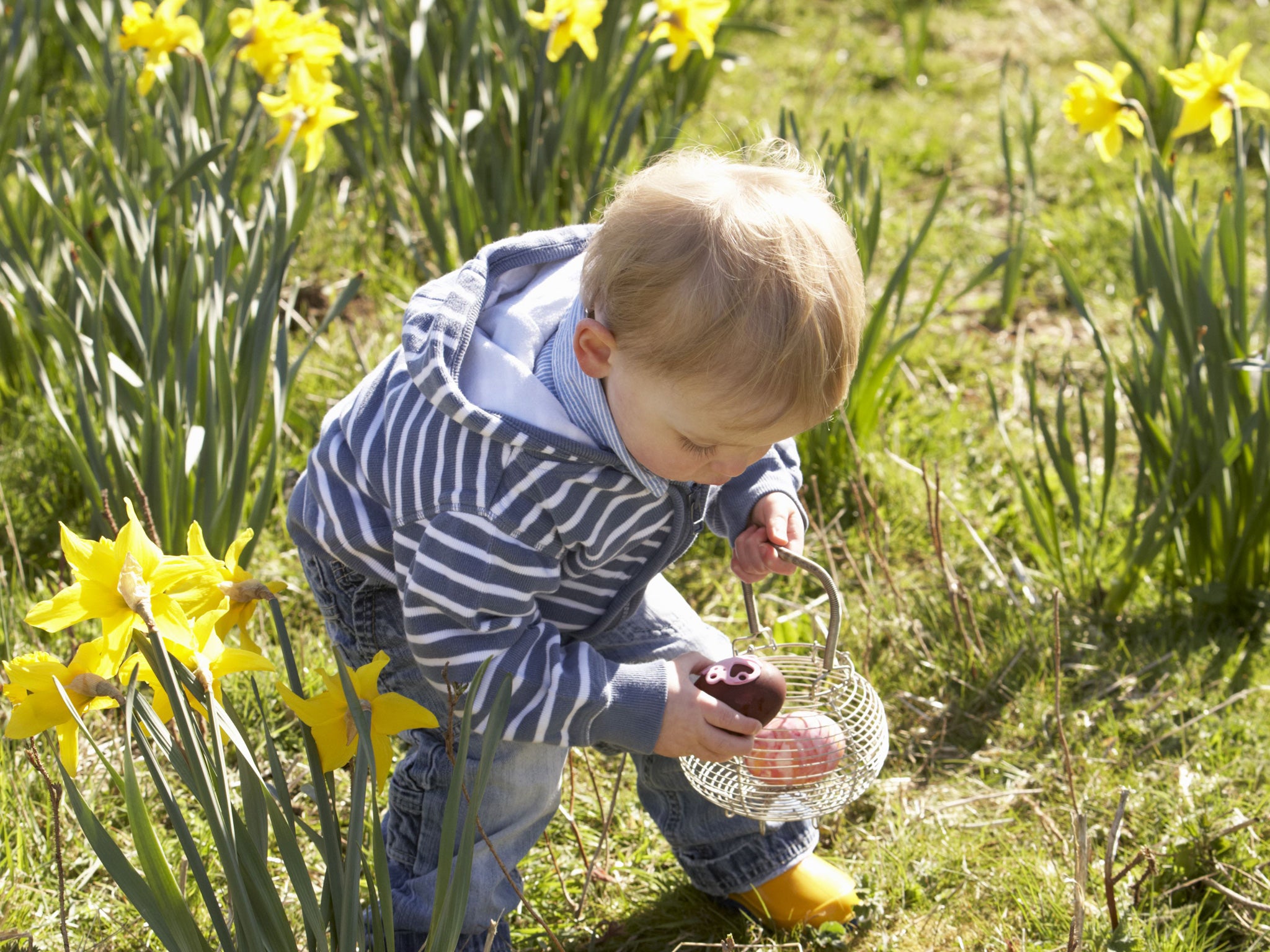 <p><strong>{1} Easter EGGstravaganza, Enfield, Middlesex</strong></p>
<p>A day of fun organised by Noah's Ark Children's Hospice. Expect egg-and-spoon races, storytelling, face painting and, of course, an Easter egg hunt.</p>
<p>Sat 30 Mar, 11am-3pm, adults £5.50, concessions £4.50, children aged 4-16 £2.50, under-3s free of charge, <a href="http://capelmanorgardens.co.uk" target="_blank">capelmanorgardens.co.uk</a></p>