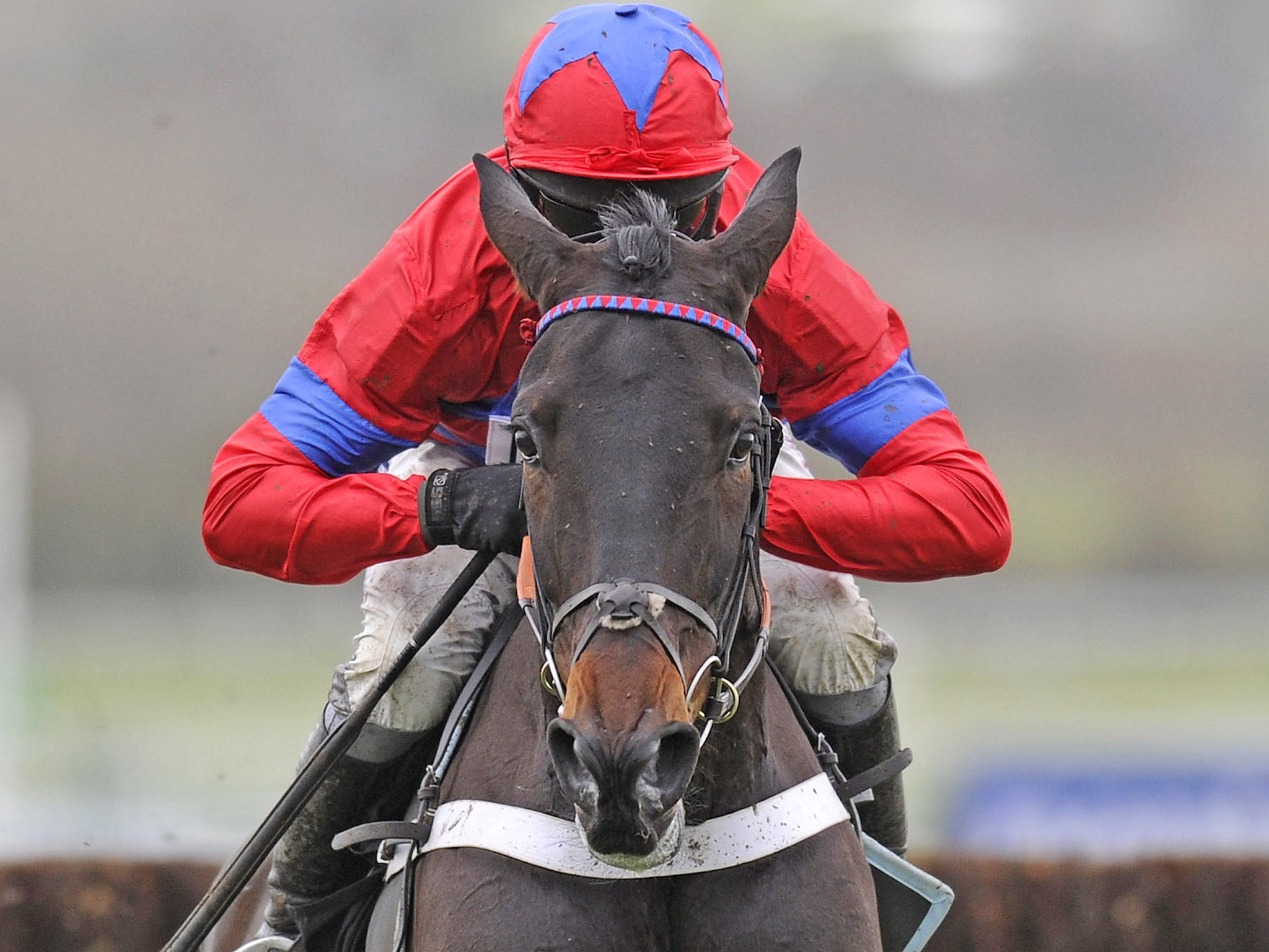 Expectations of Sprinter Sacre are such that it will be easy to disappoint