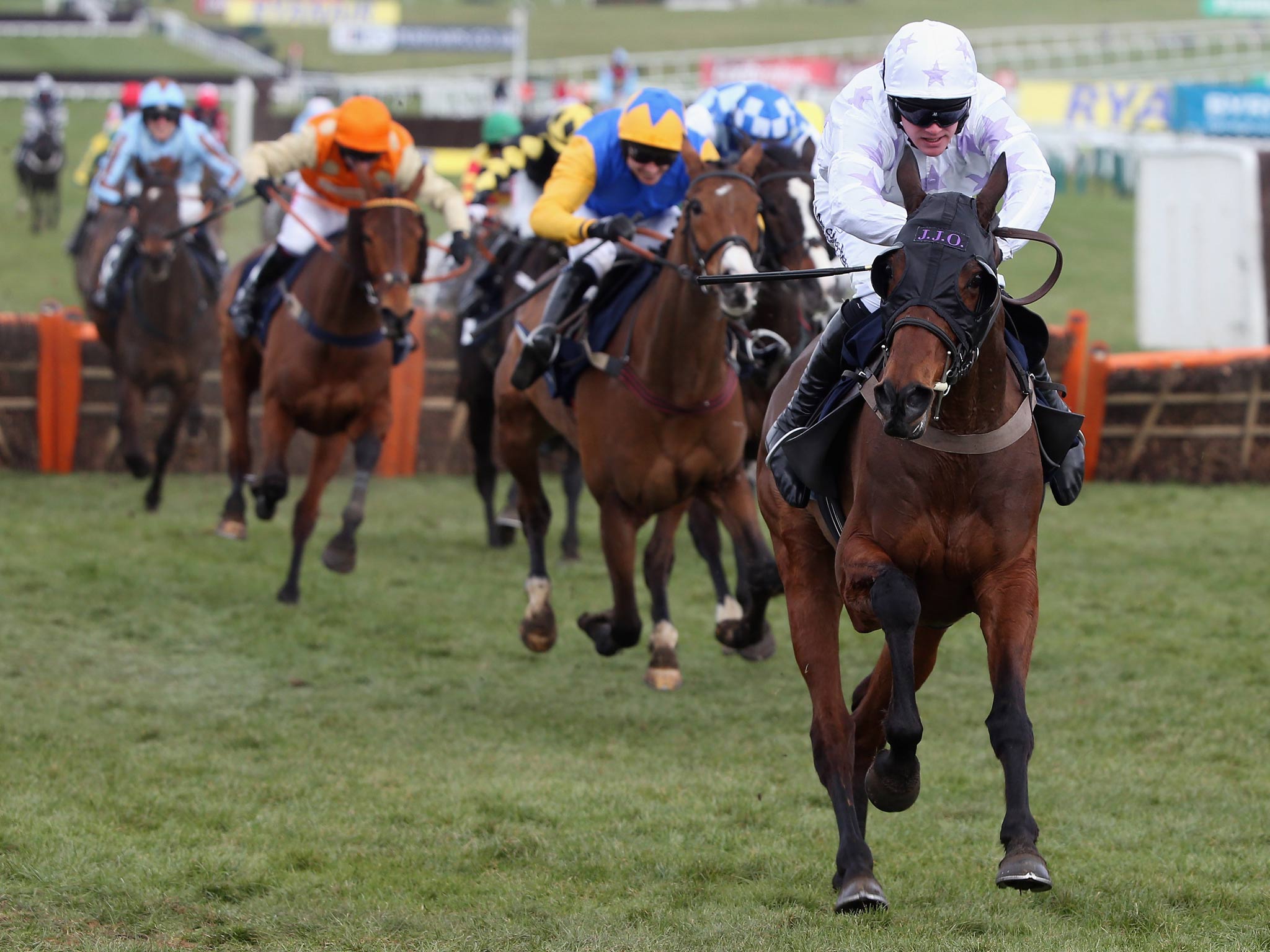 Holywell leads at Cheltenham