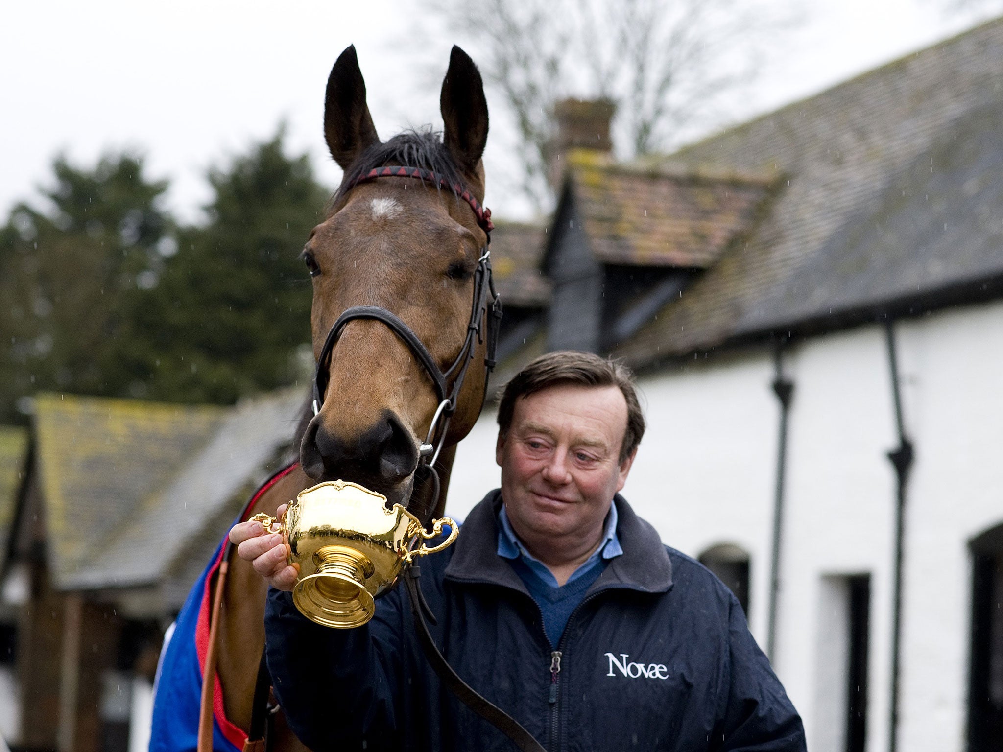 Prize asset: Just another day at Seven Barrows yard for Nicky Henderson and his Cheltenham Gold Cup winner