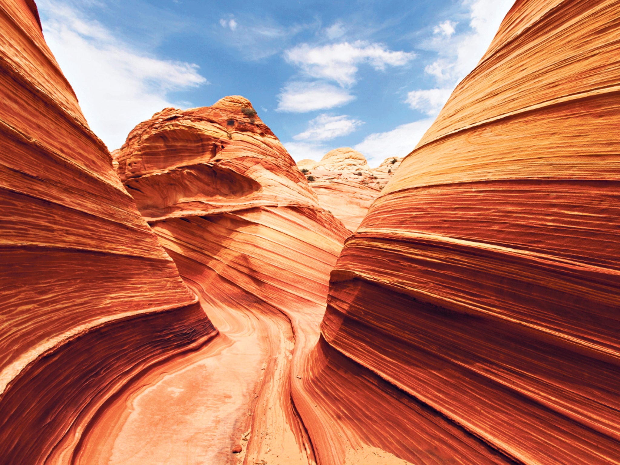 Go with the flow: the extraordinary patterns of the Wave at Coyote Buttes