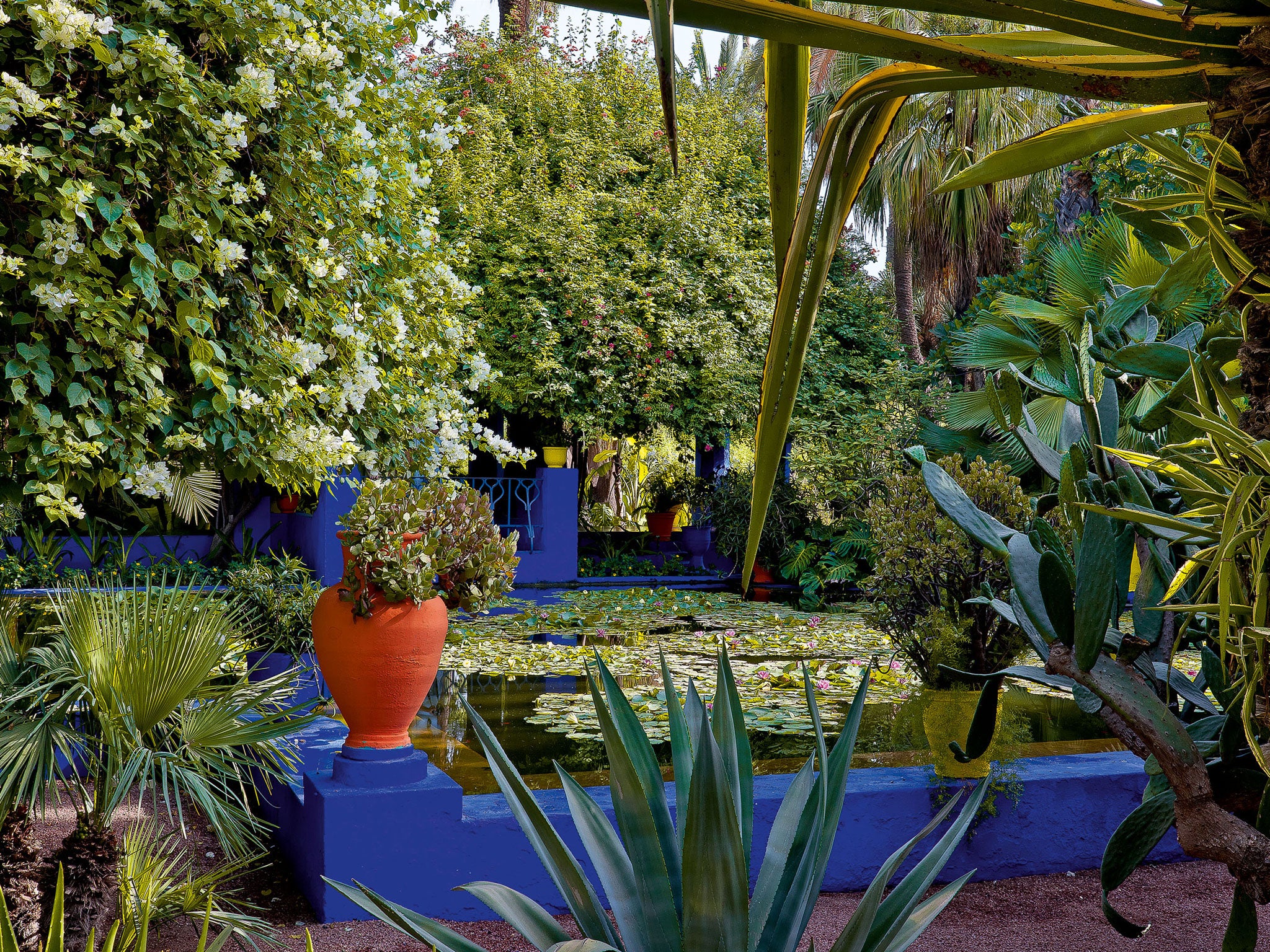 Yves Saint Laurent’s Jardin Majorelle has a saturated vibrancy of colour and such a huge botanical variety that it takes 20 gardeners to maintain: from Gardens of Marrakesh’ (£2