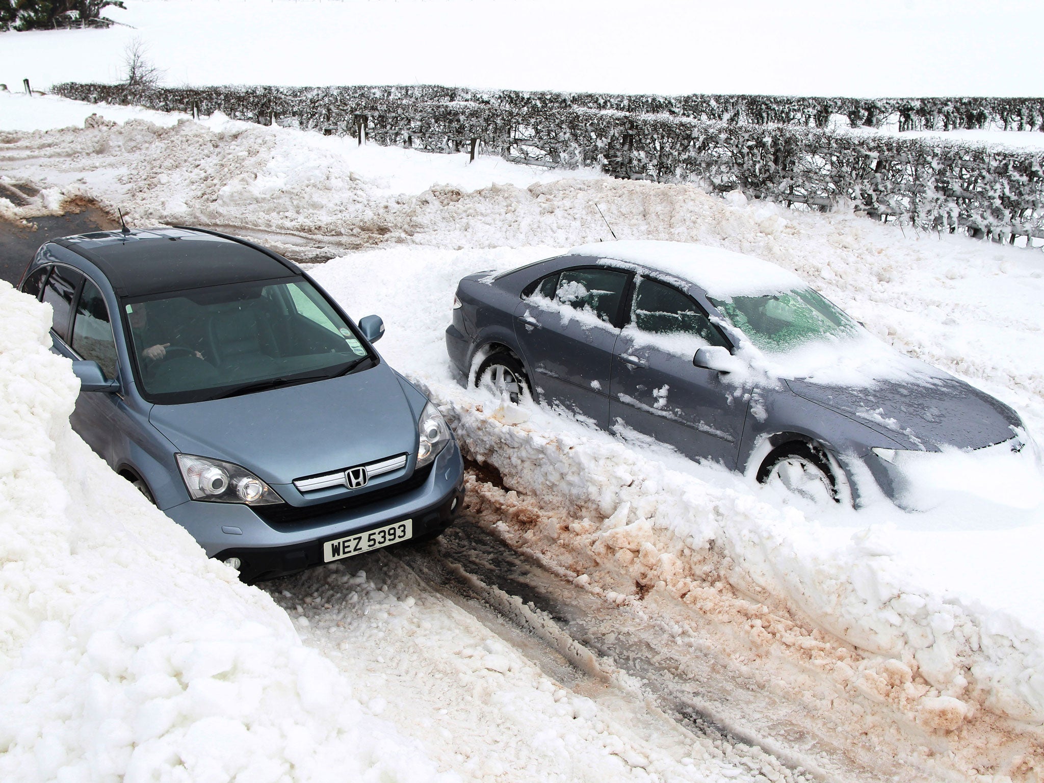 Cars give up in the snow