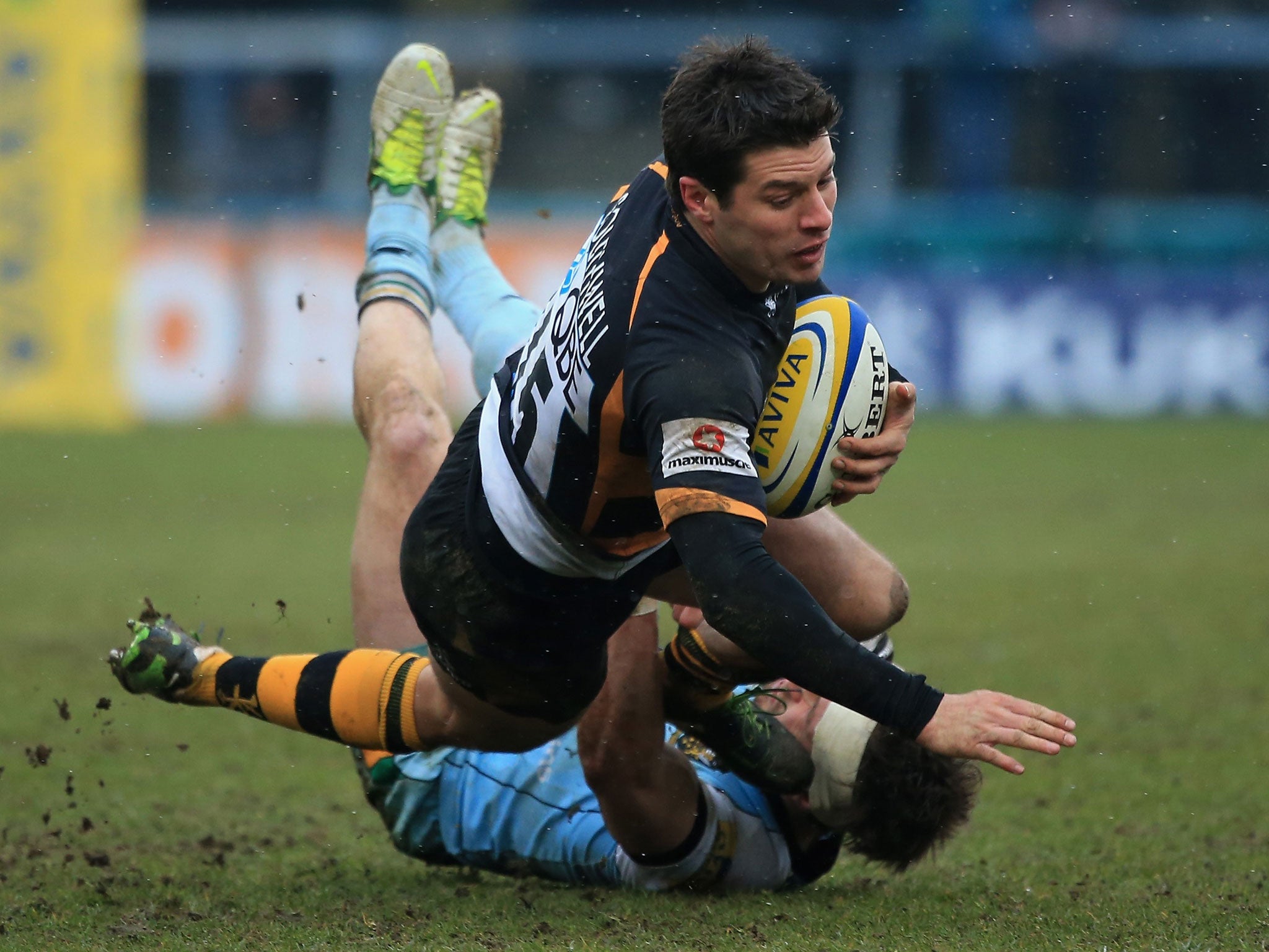Wasps Hugo Southwell is grounded