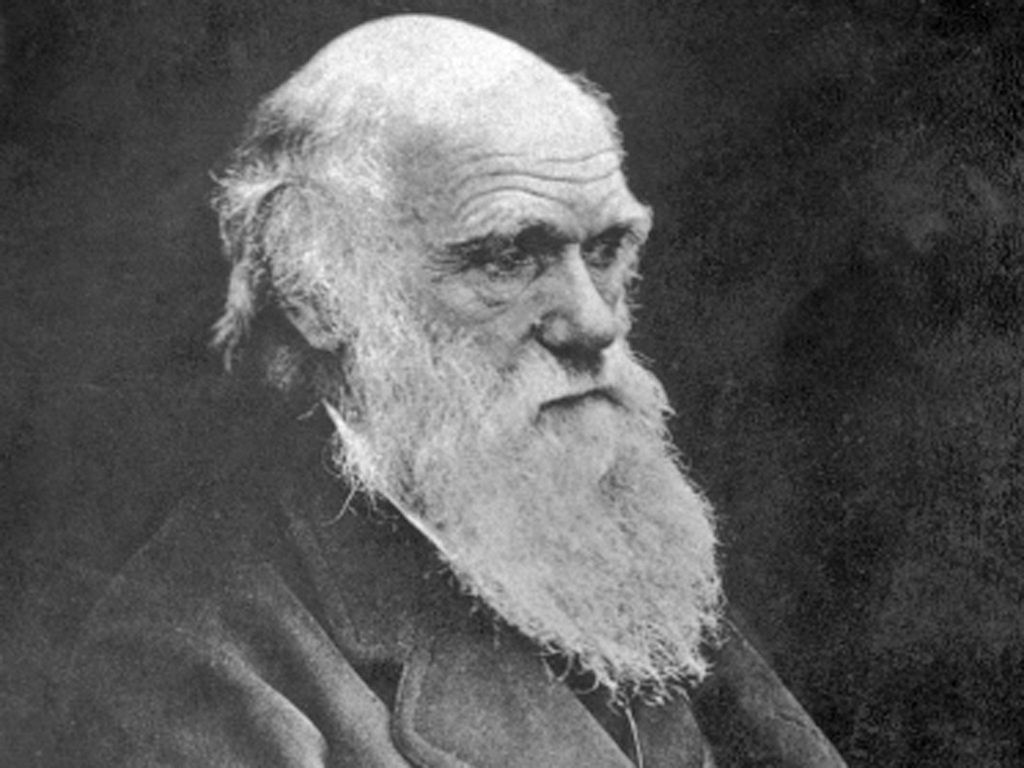 A letter in which Charles Darwin describes the death of his beloved daughter-in-law will be released by University of Cambridge