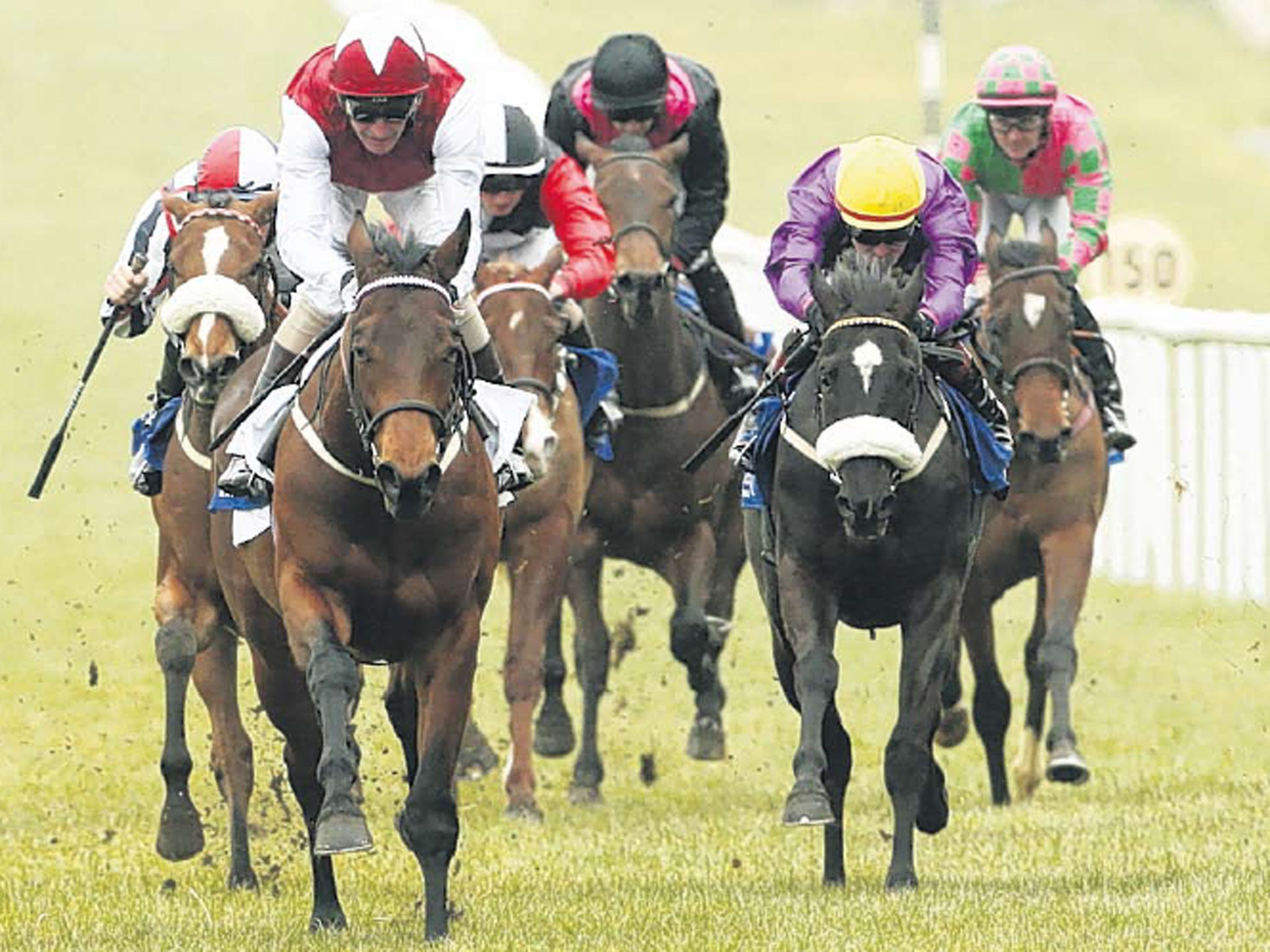 Saburo winning the juvenile maiden at the Curragh yesterday