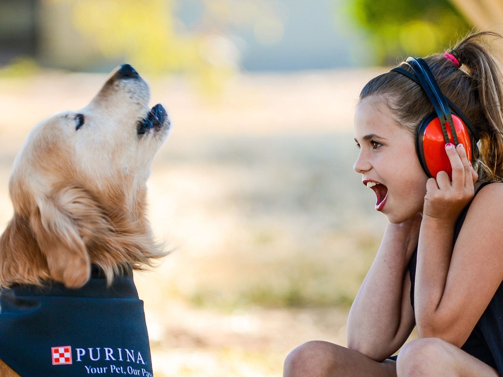 At a staggering 113.1 decibels, Charlie's bark is as loud as a rock concert