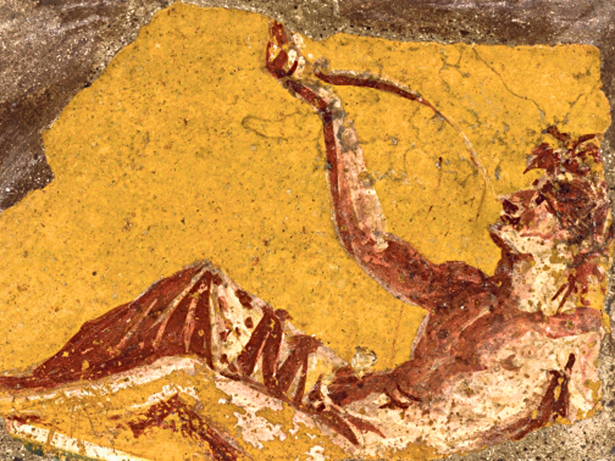 Fragment of a wall painting showing a man reclining to drink - from Pompeii, 1st century AD
