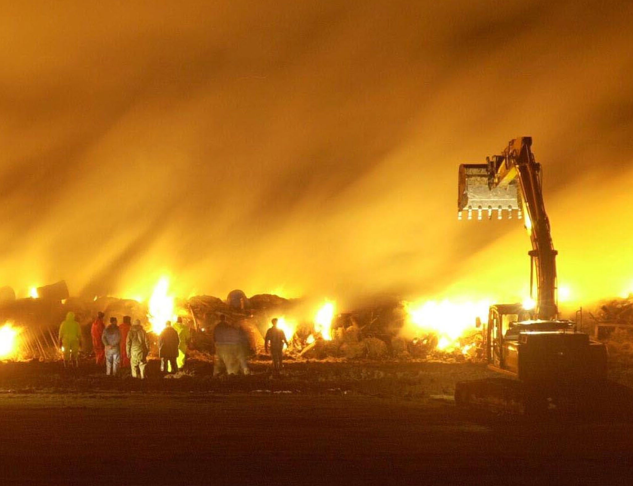 Government workers incinerate the carcasses of livestock thought to be infected with foot and mouth disease in 2001