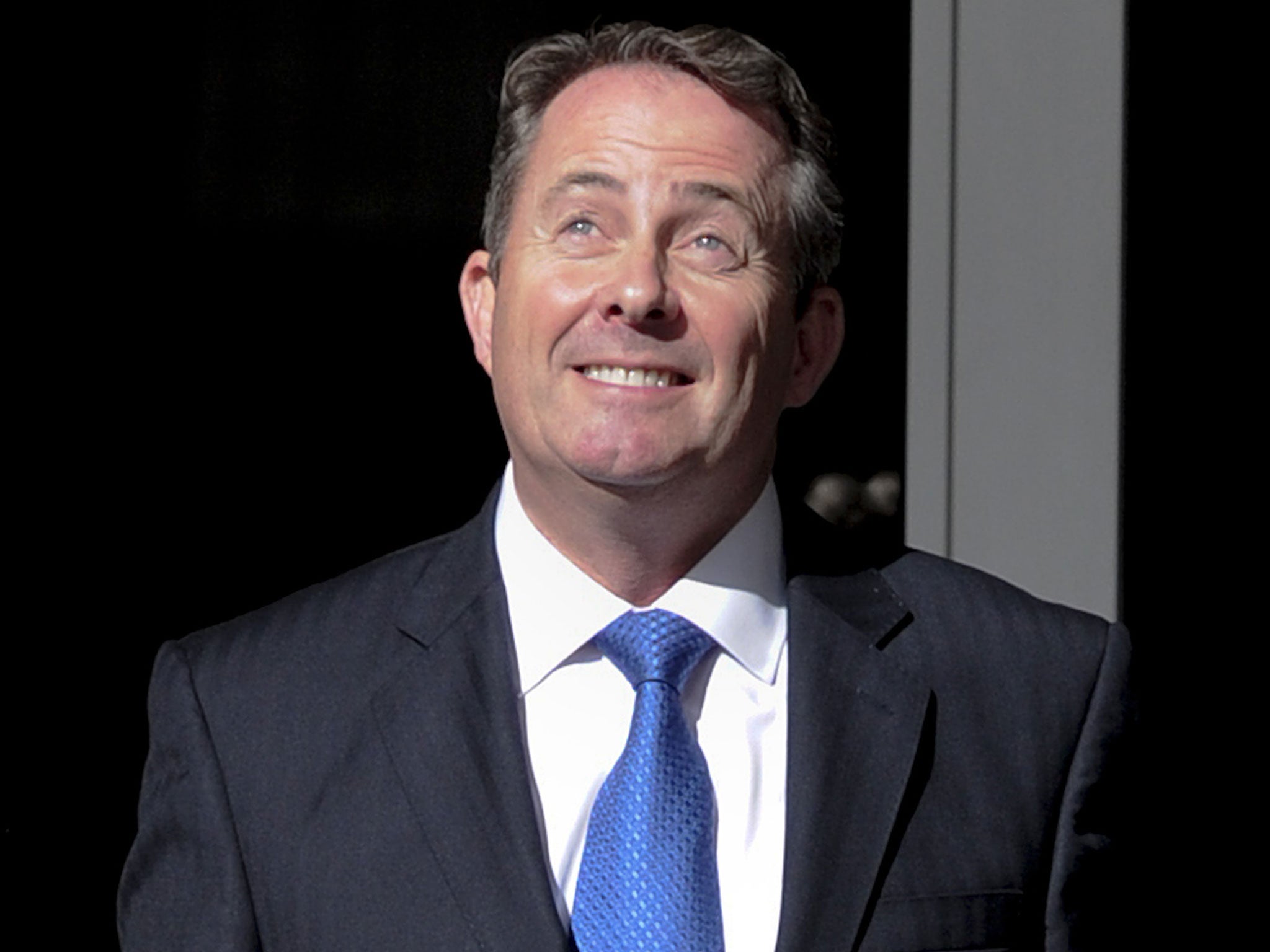 Liam Fox, the former Defence Secretary