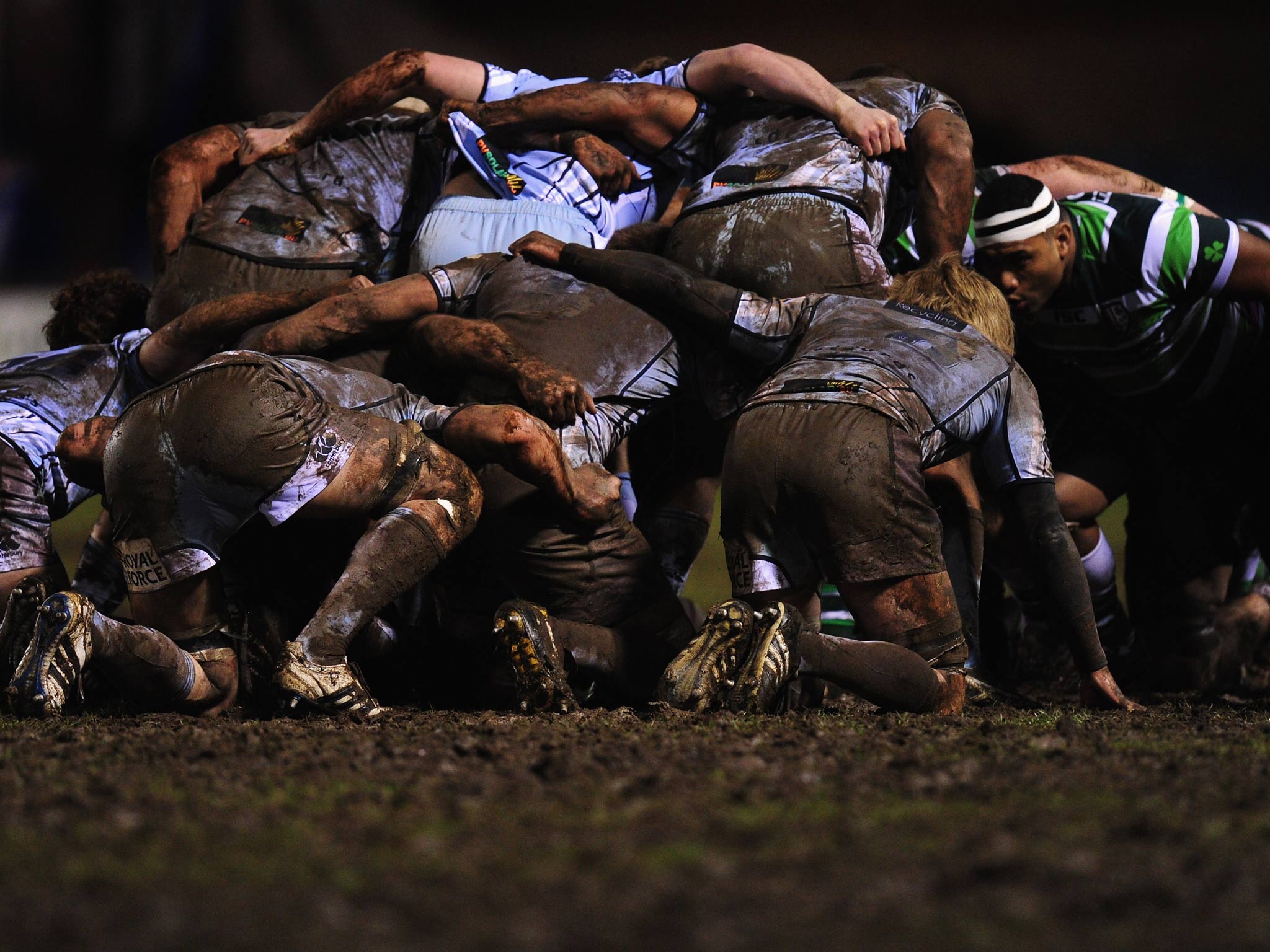 Cardiff Blues compete at Arms Park