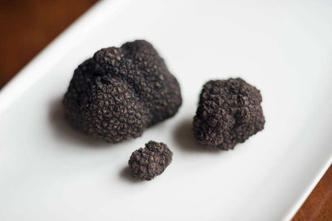 &#13;
Truffles can be many times more profitable per acre than grapes. &#13;