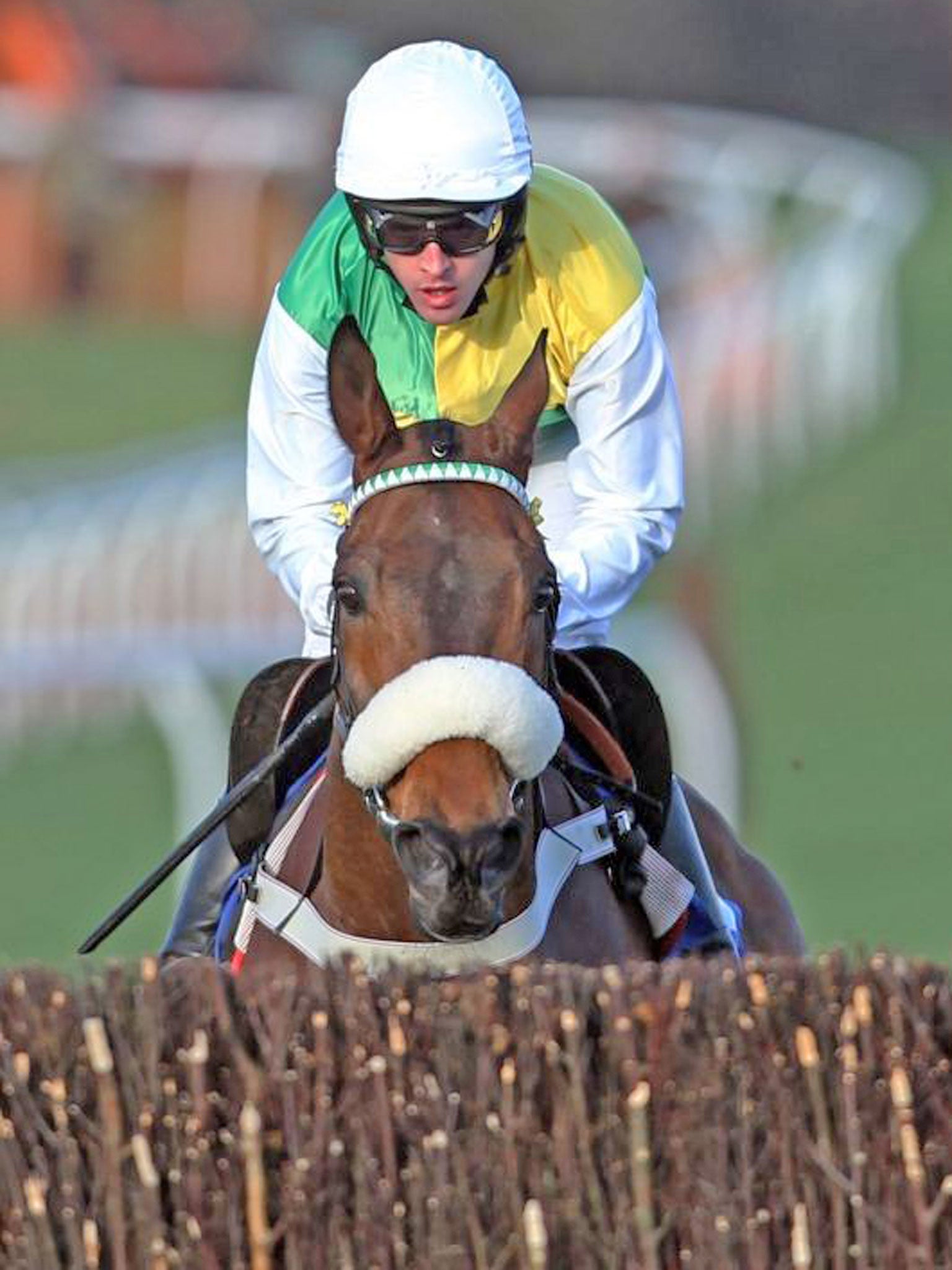 In focus: Former winner Ballabriggs