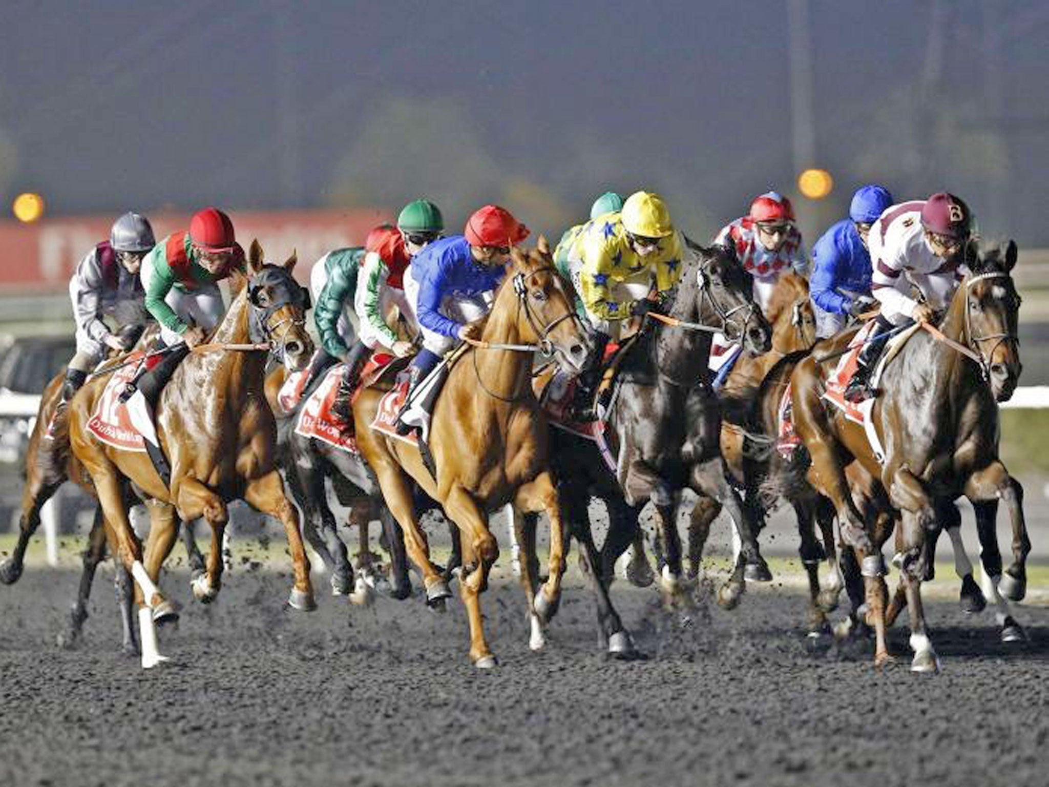 Winner: Animal Kingdom (third from left) picks his moment on his way to a comfortable victory in the Dubai World Cup at Meydan yesterday from Red Cadeaux and Planteur