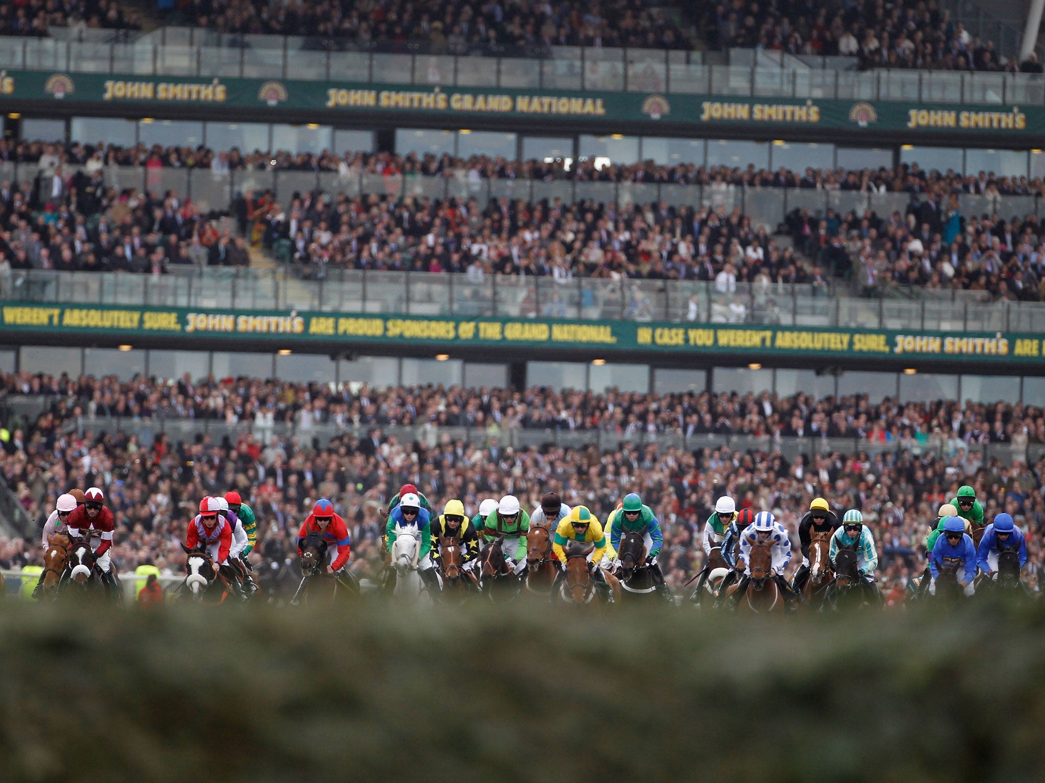 Runners heading towards the first fence during 2011 Grand National