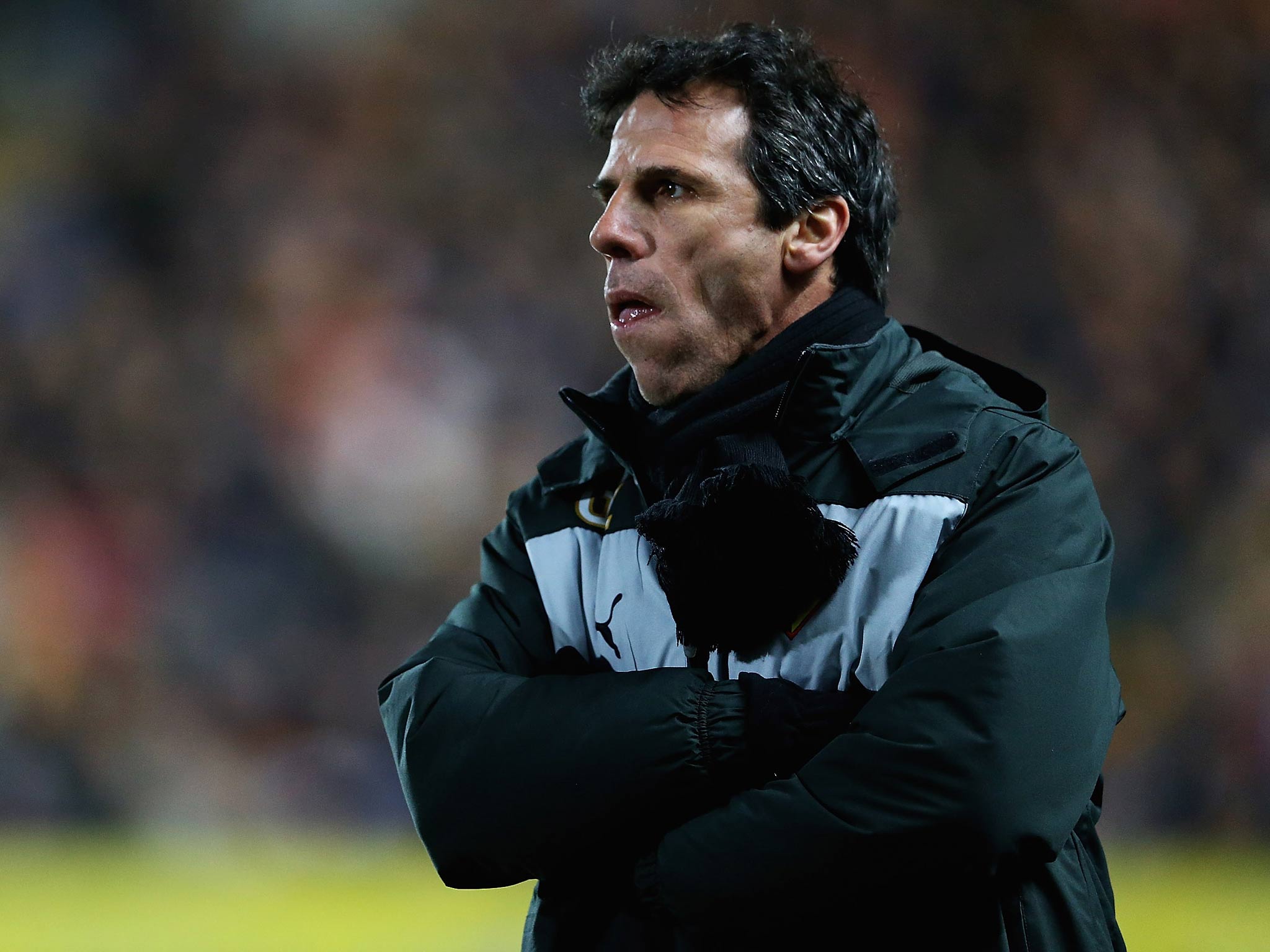 Watford manager Gianfranco Zola