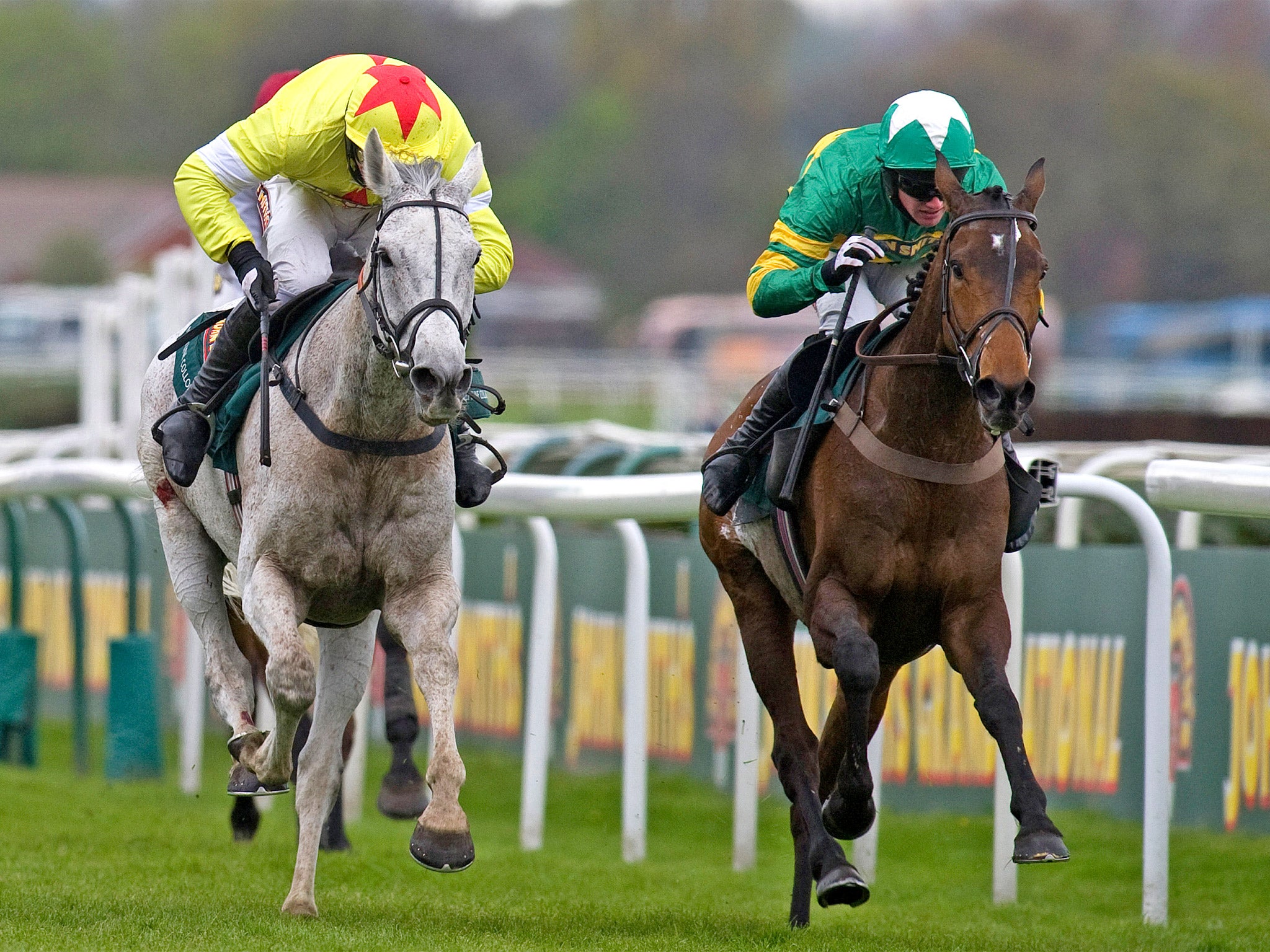 Neptune Collonges (grey) beats Sunnyhillboy to win last year’s race