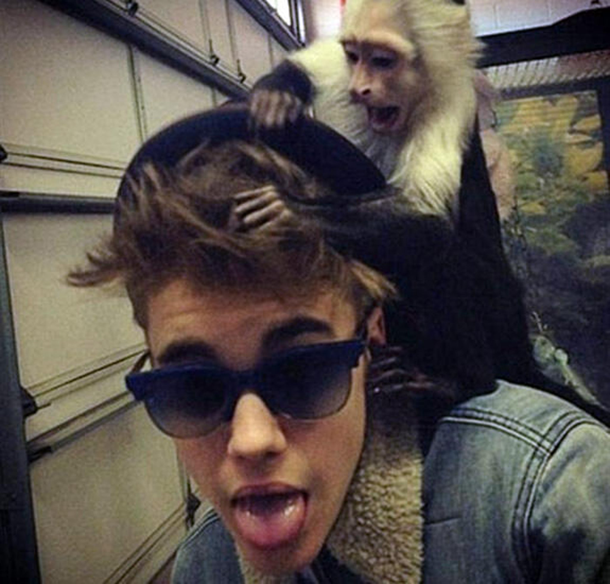 Justin Bieber with his pet monkey Mally before it was seized by customs.