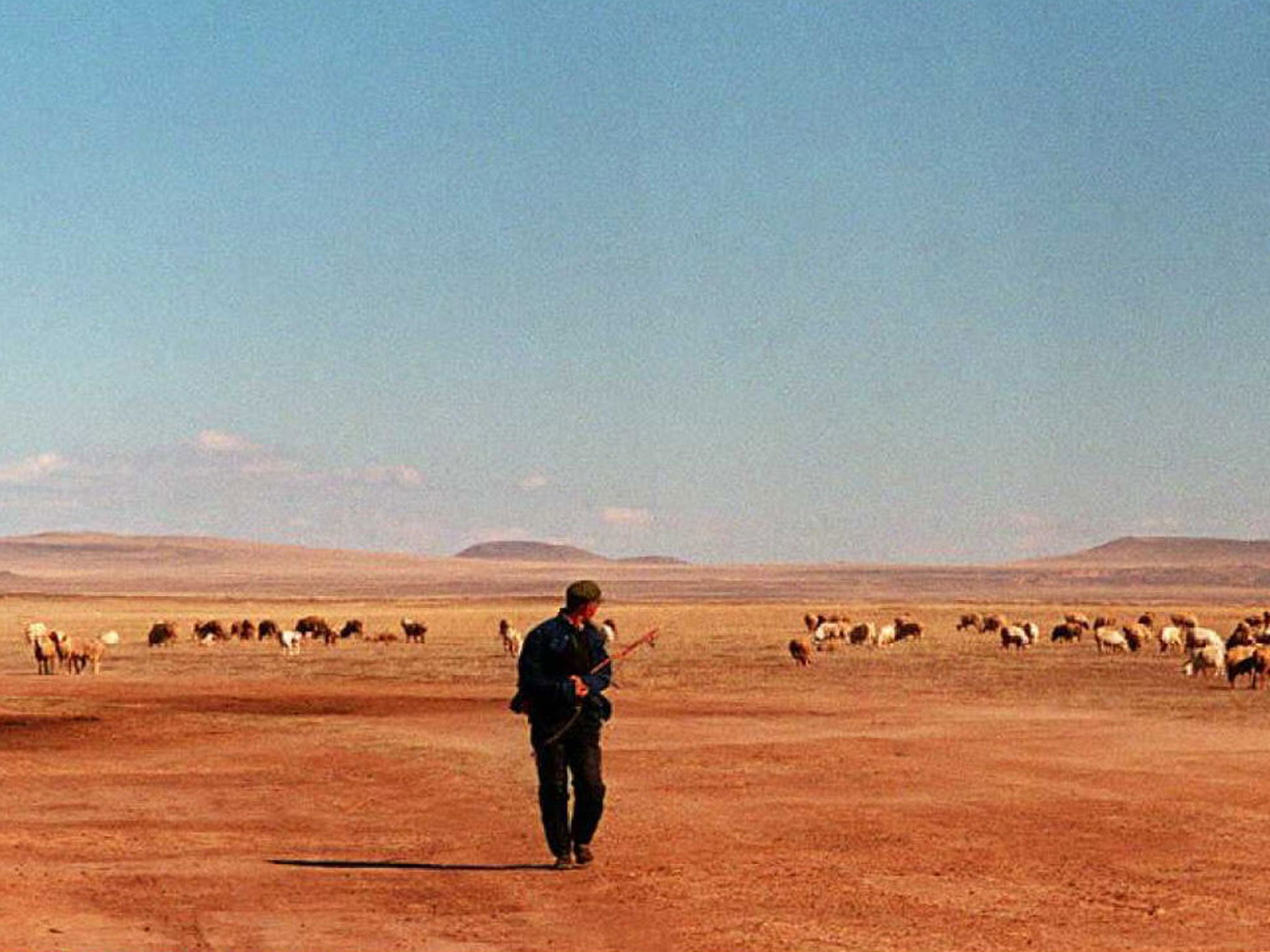 A herdsman tends his sheep on a barren pasture, in An Zhe Li Mu 15 October. As domestic animals in Inner Mongolia multiply quickly, the neglected pasture land is degenerating fast and is expected to become a desert within several years.