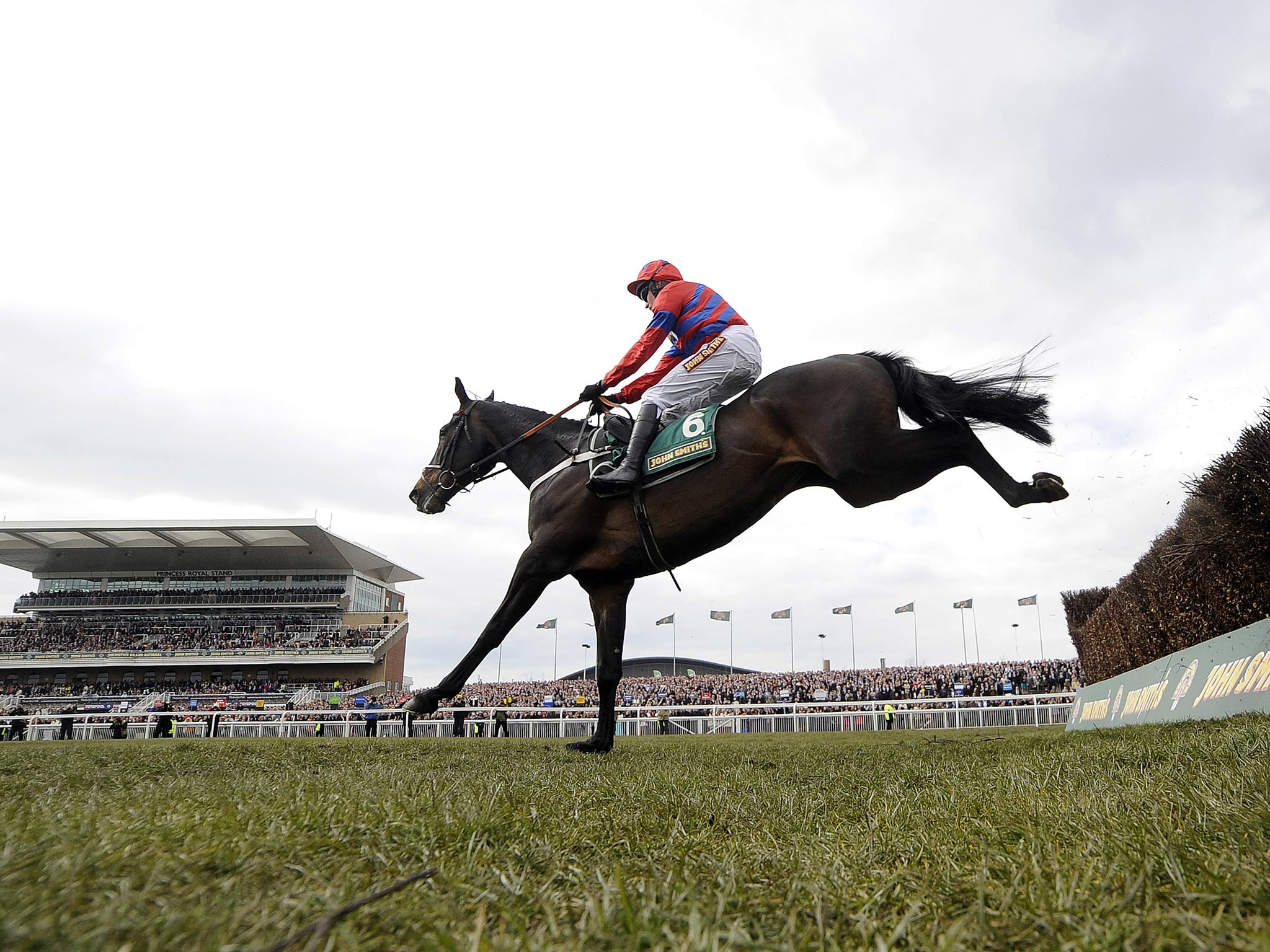 Sprinter Sacre