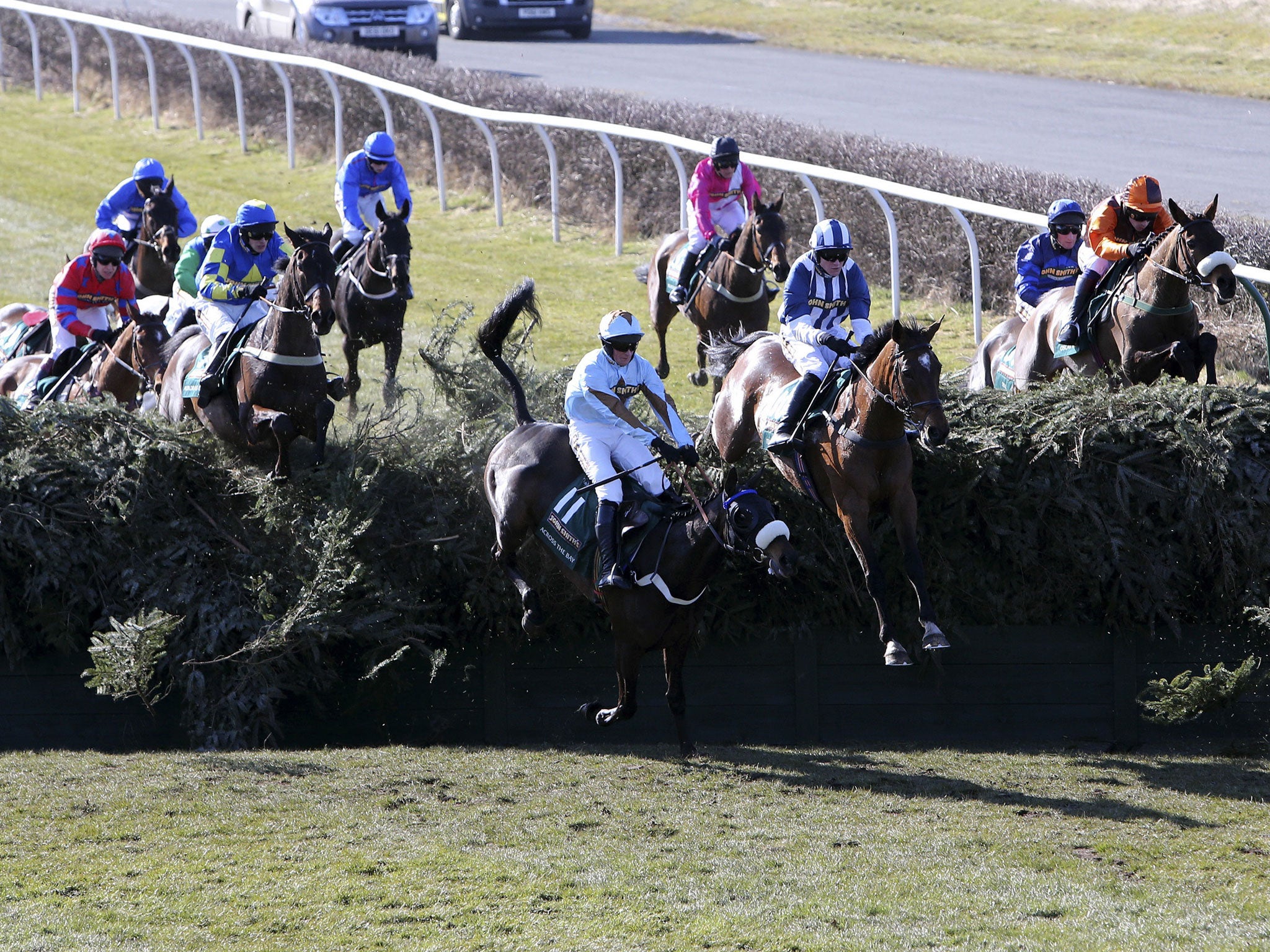 14 horses have died at Becher's Brook (pictured) but 27 horses have died at Taxis Ditch in the Velka Pardubicka in the Czech Republic