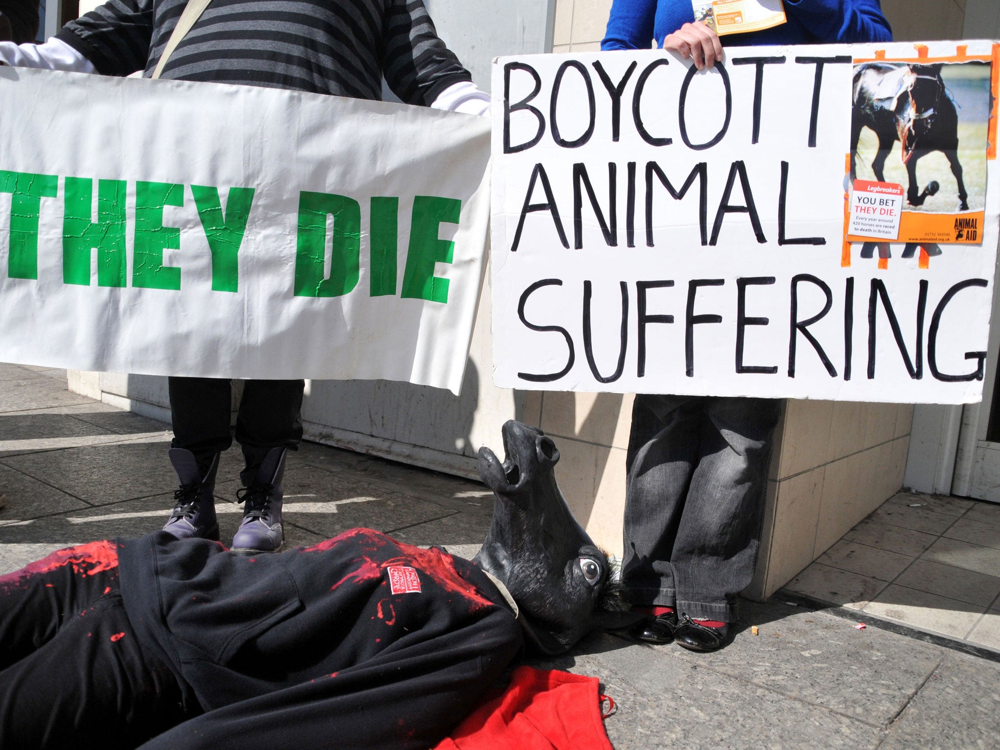 Protesters at Aintree