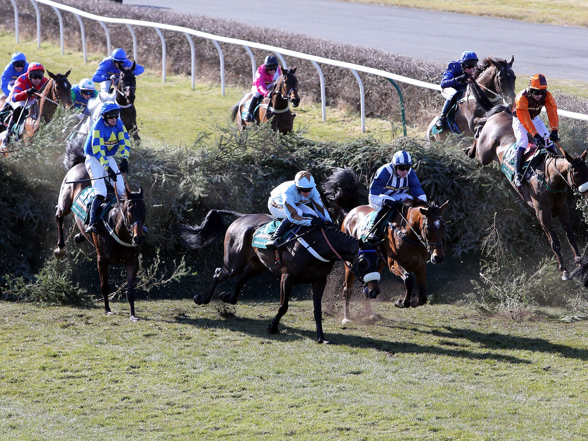 66-1 shot Auroras Encore, left, won the race last year