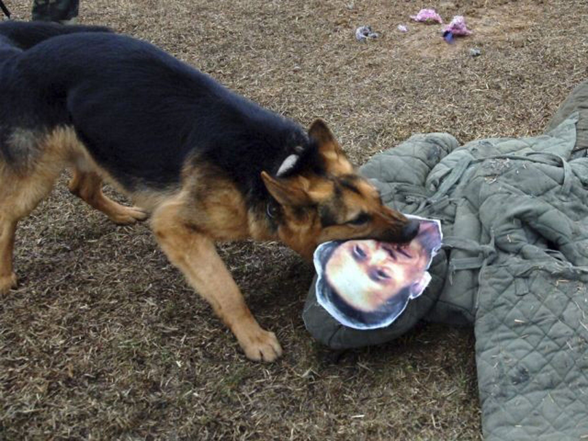 A North Korean military dog bites a dummy of South Korean Defence Minister Kim Kwan-jin during a military drill