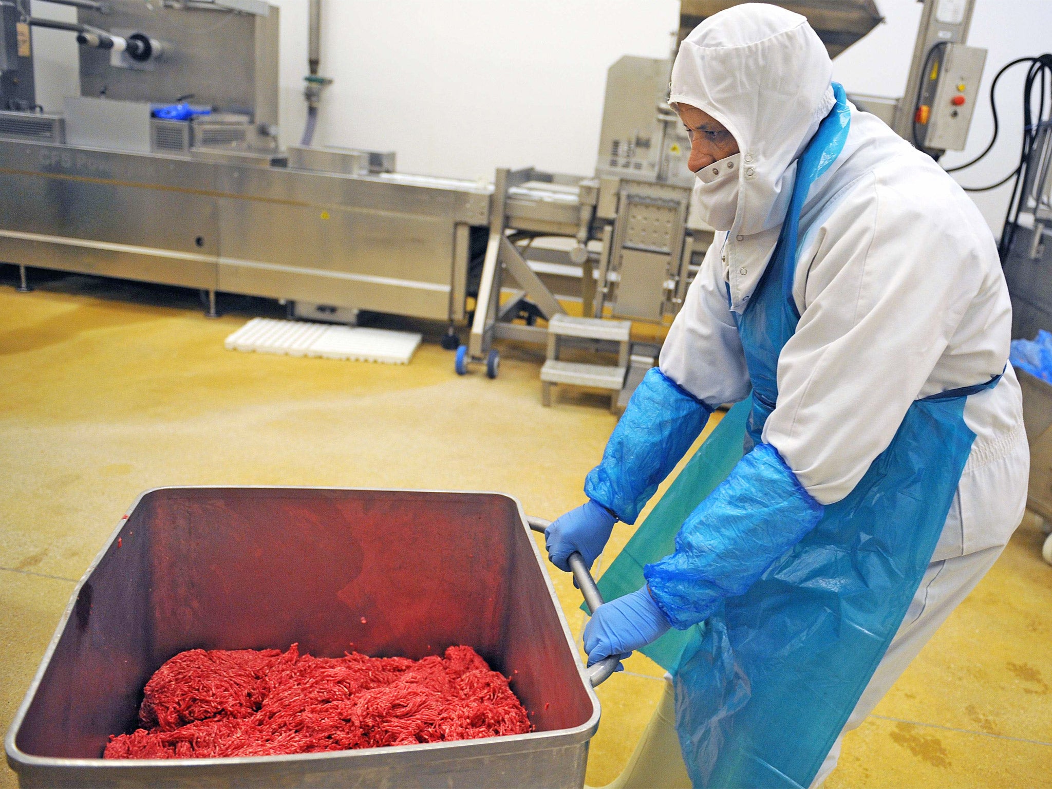 Fera led the way in identifying horsemeat in the UK food chain. File photo (Getty)