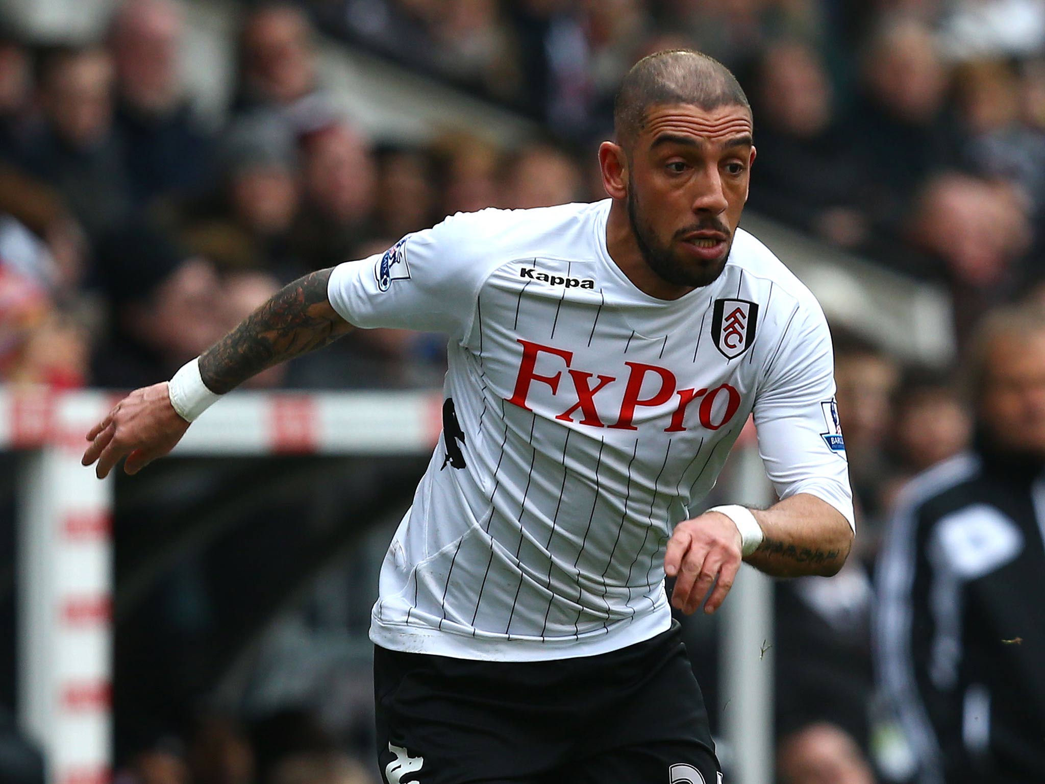 Fulham winger Ashkan Dejagah