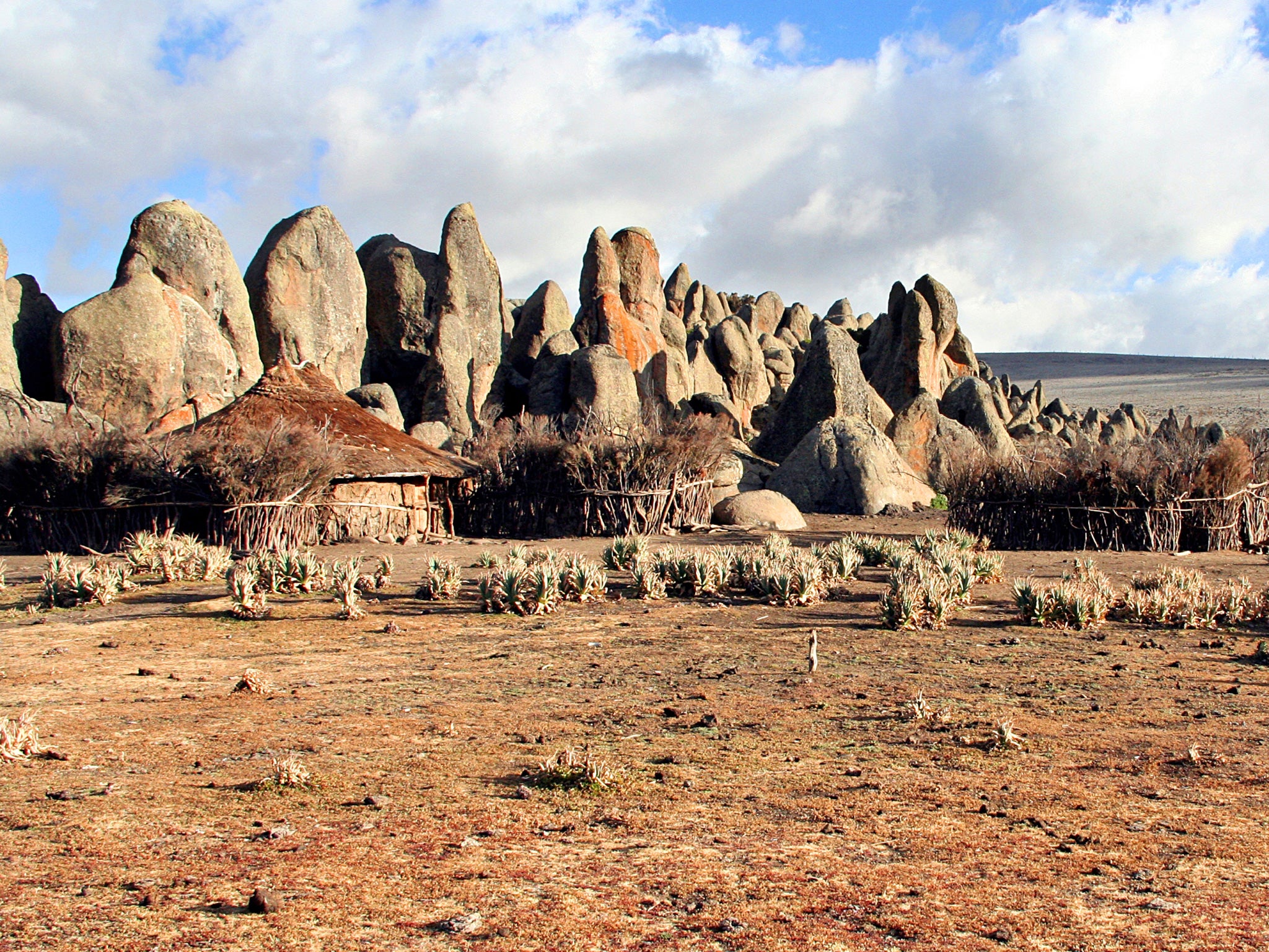 High rise: rock formations in the Bale Mountains