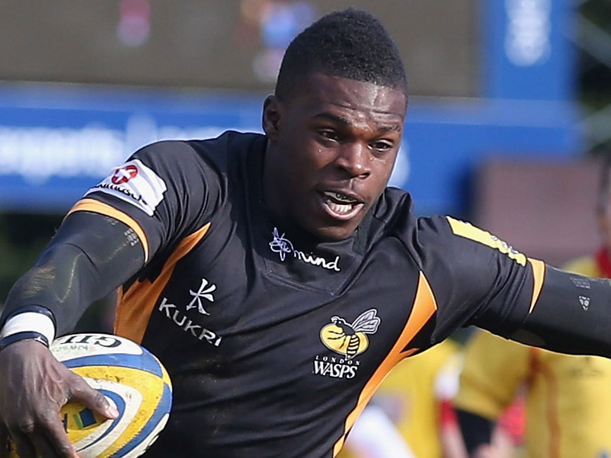 Quick learner: Wasps’ Christian Wade