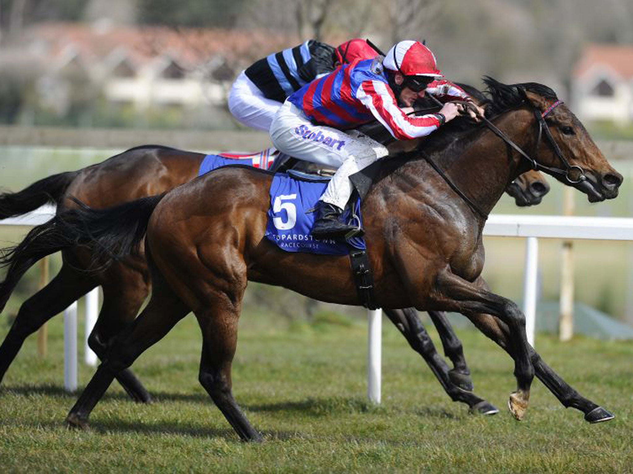 Fort Knox is 20-1 for the 2,000 Guineas after winning at Leopardstown