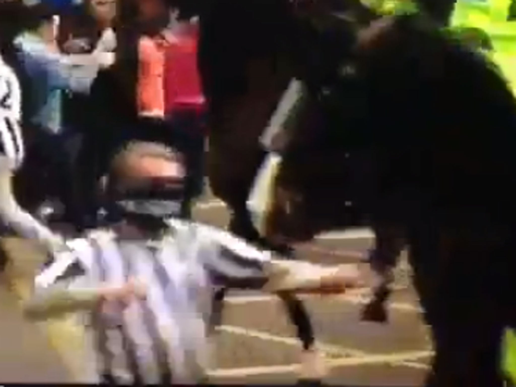 A Newcastle fan appears to aim a punch at a police horse