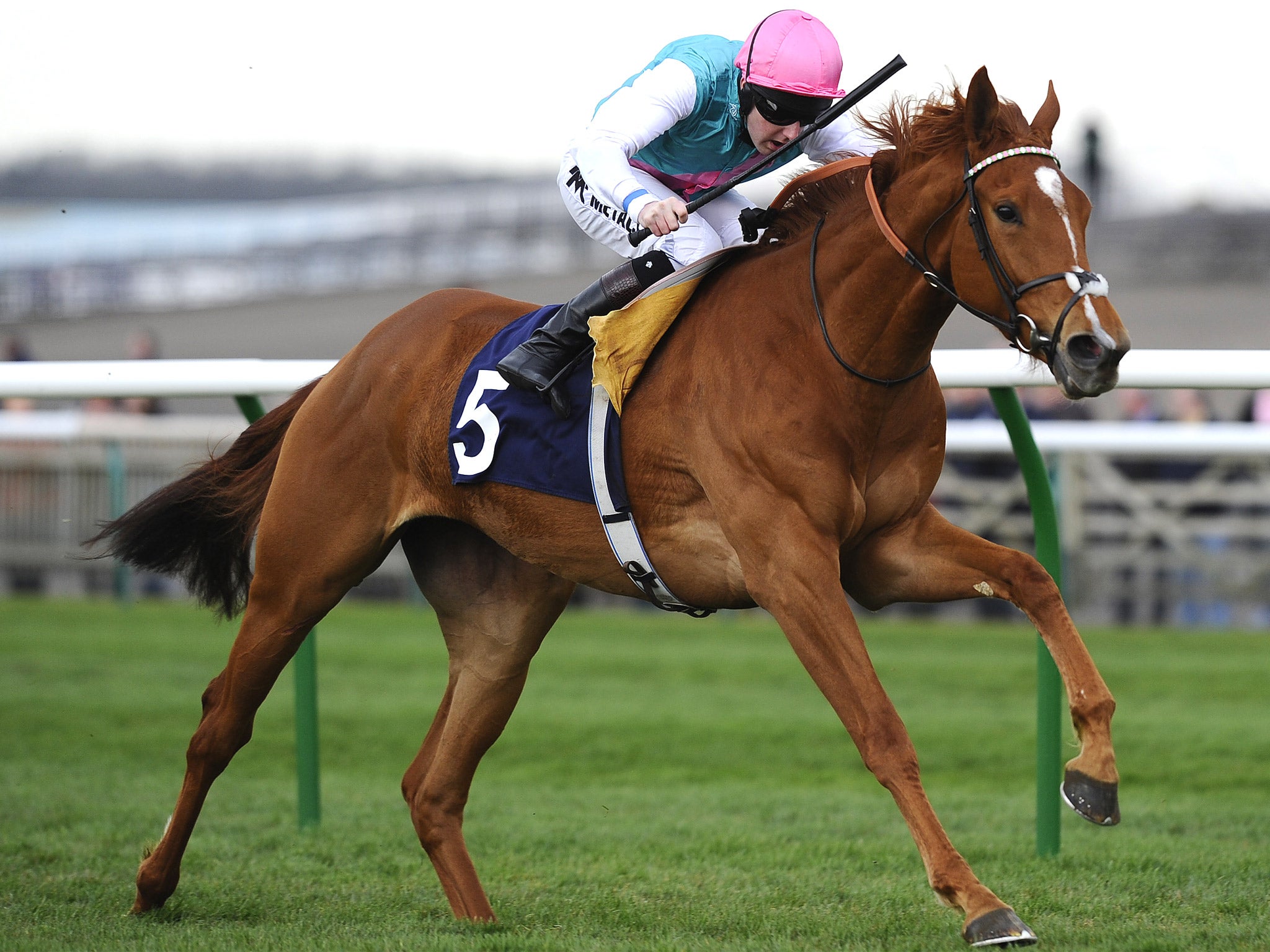 Henry Cecil’s Hot Snap had her odds cut to 5-1 for the Guineas after a last-to-first win at Newmarket