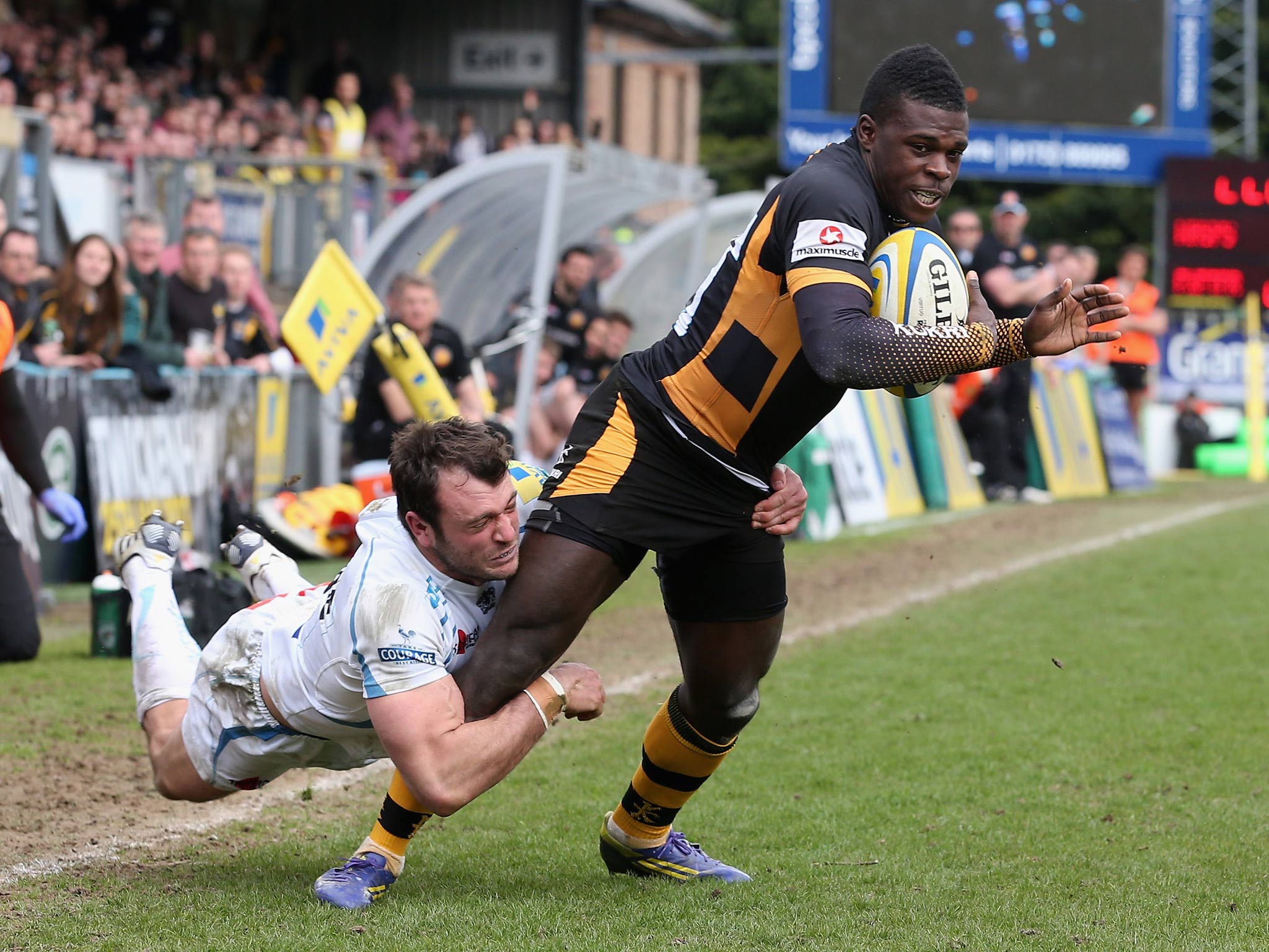 Wasps wing Christian Wade