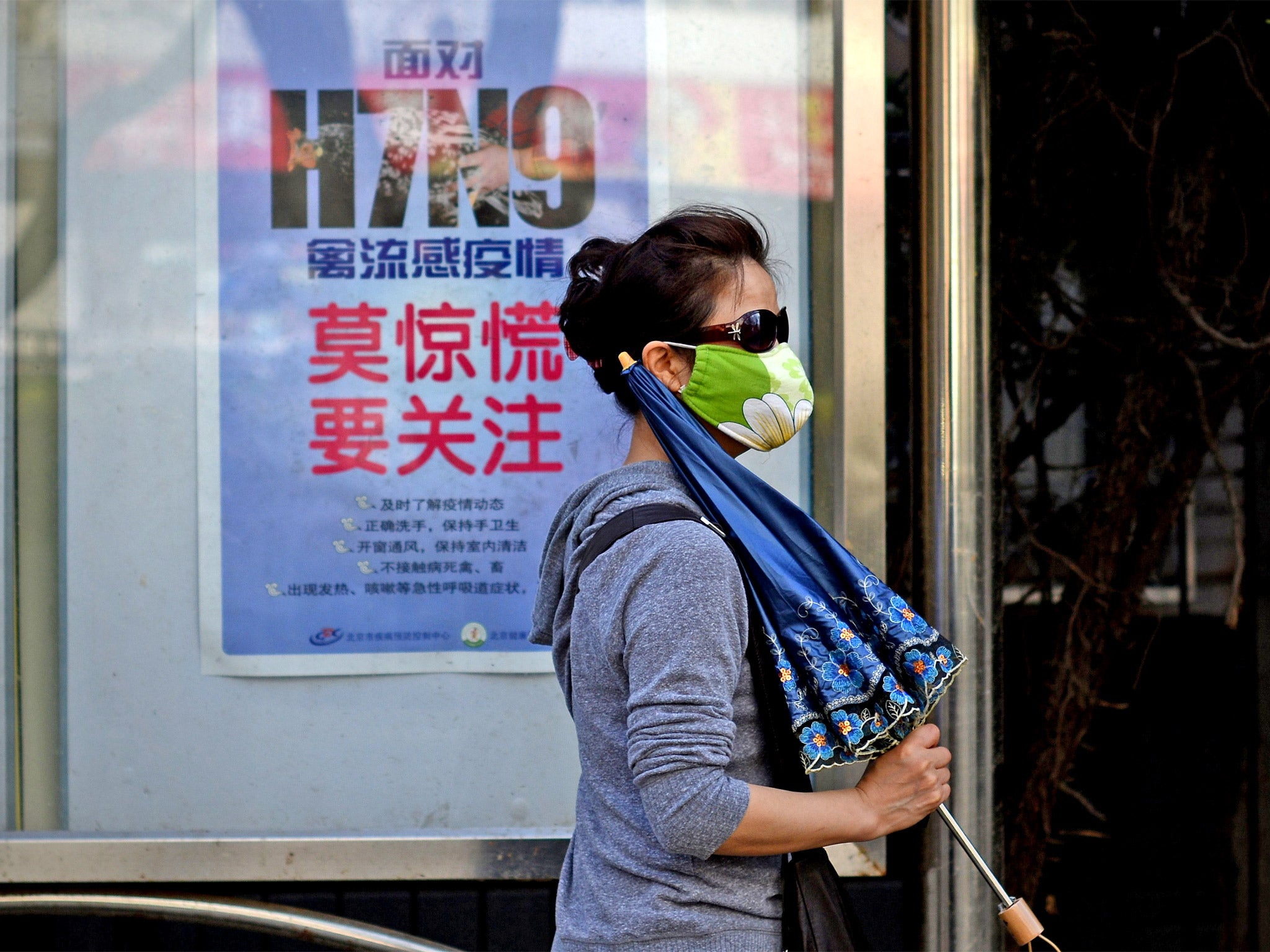 A woman wears a face mask as she walks past a poster in Beijing showing how to avoid getting the H7N9 bird flu virus