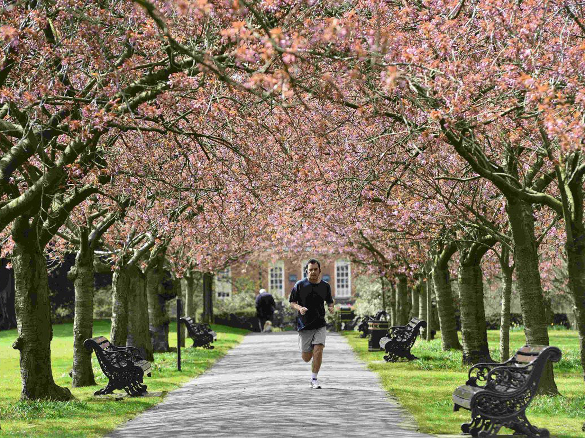 The race gets underway in Blackheath, Lewisham, and Greenwich Park