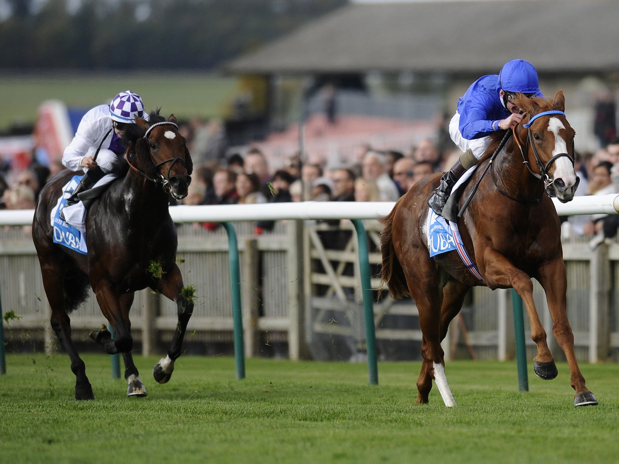 Dawn Approach winning in Godolphin blue at Newmarket