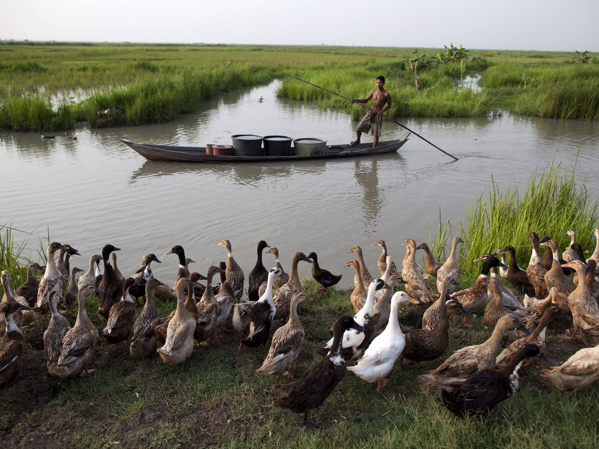 Barely afloat: A villager transports clean water through the delta