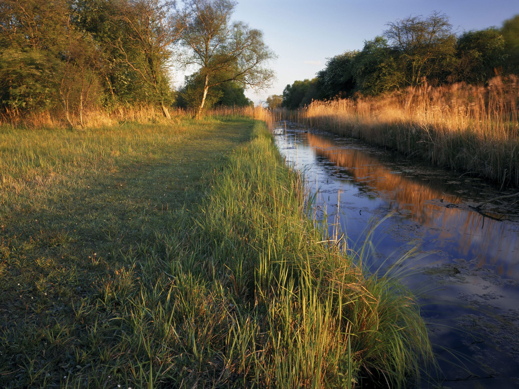How things were – Wicken Fen