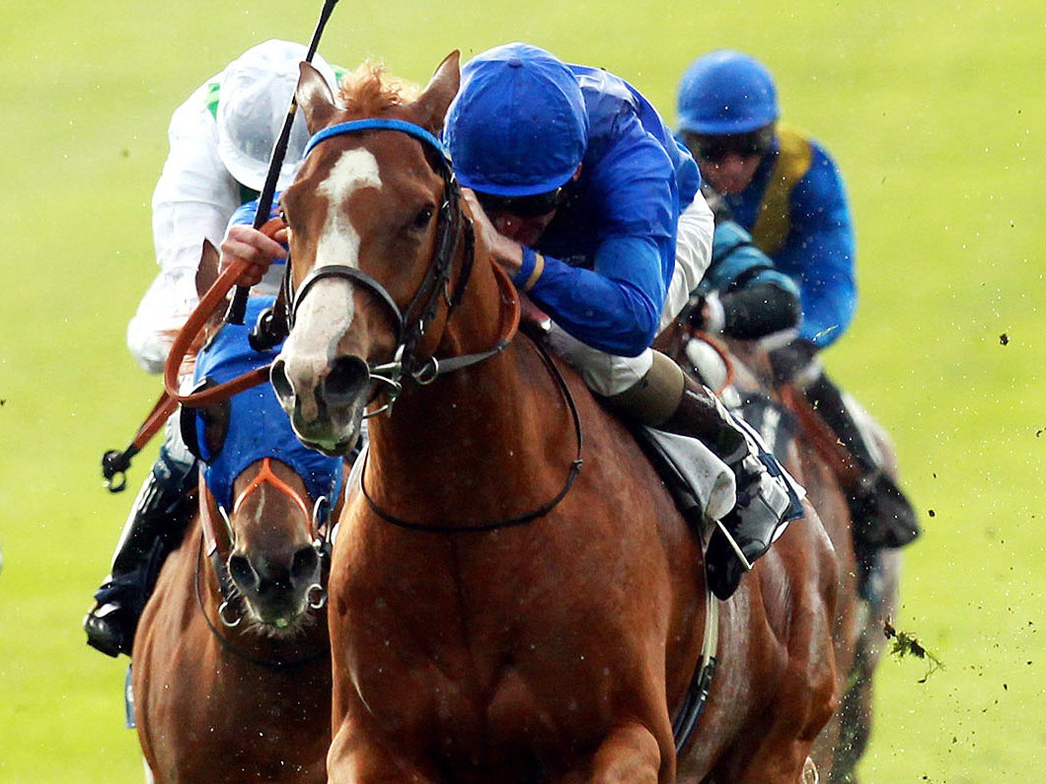 Leading lights: Dawn Approach heads for a victory few could bridle at