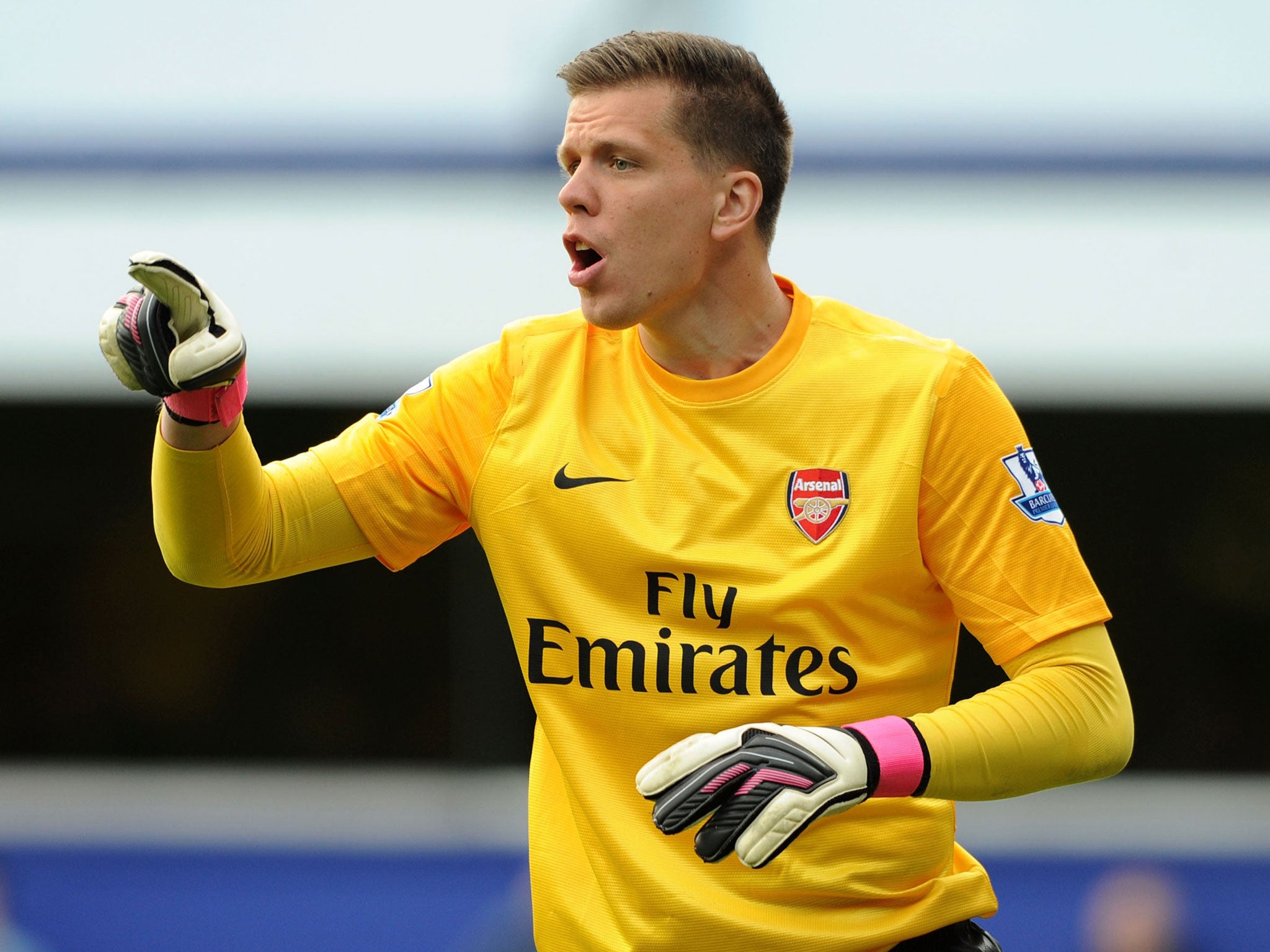 Wojciech Szczesny has been excellent so far