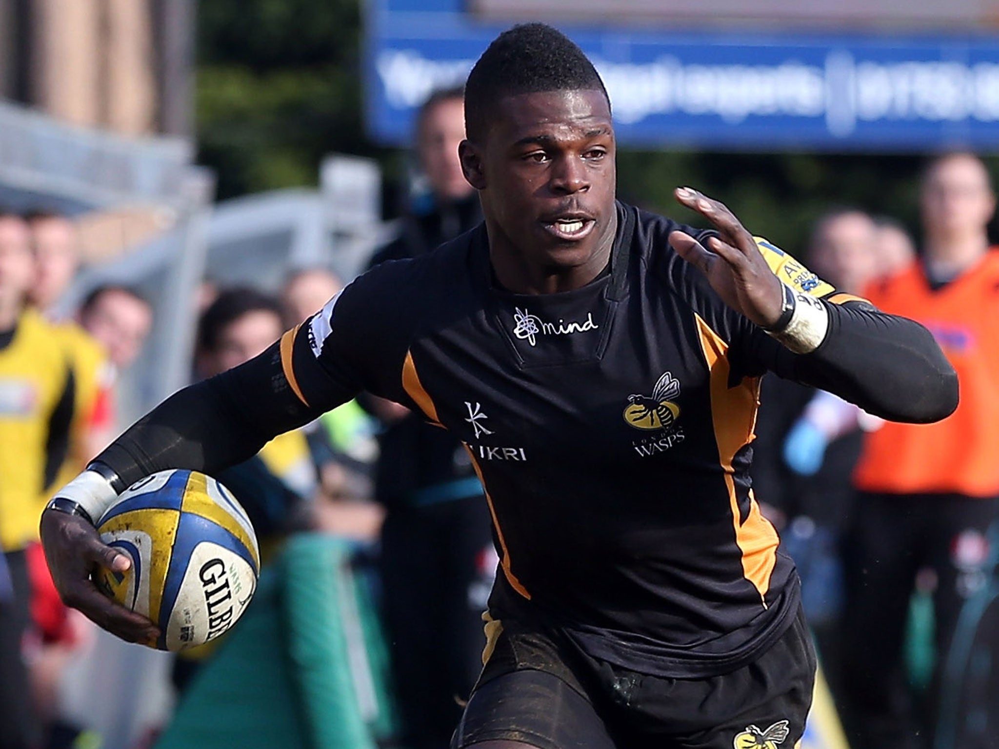 Christian Wade, Wasps