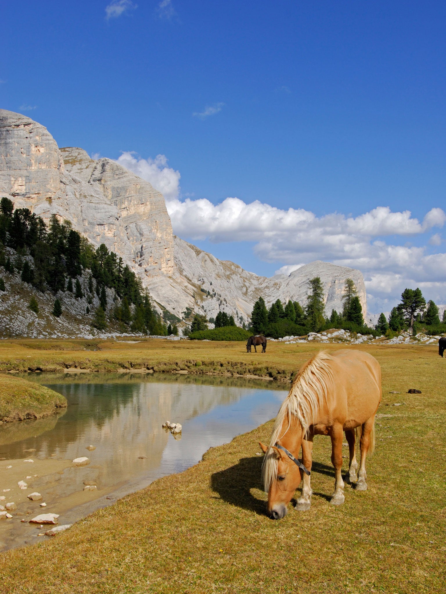 Italy’s Dolomites