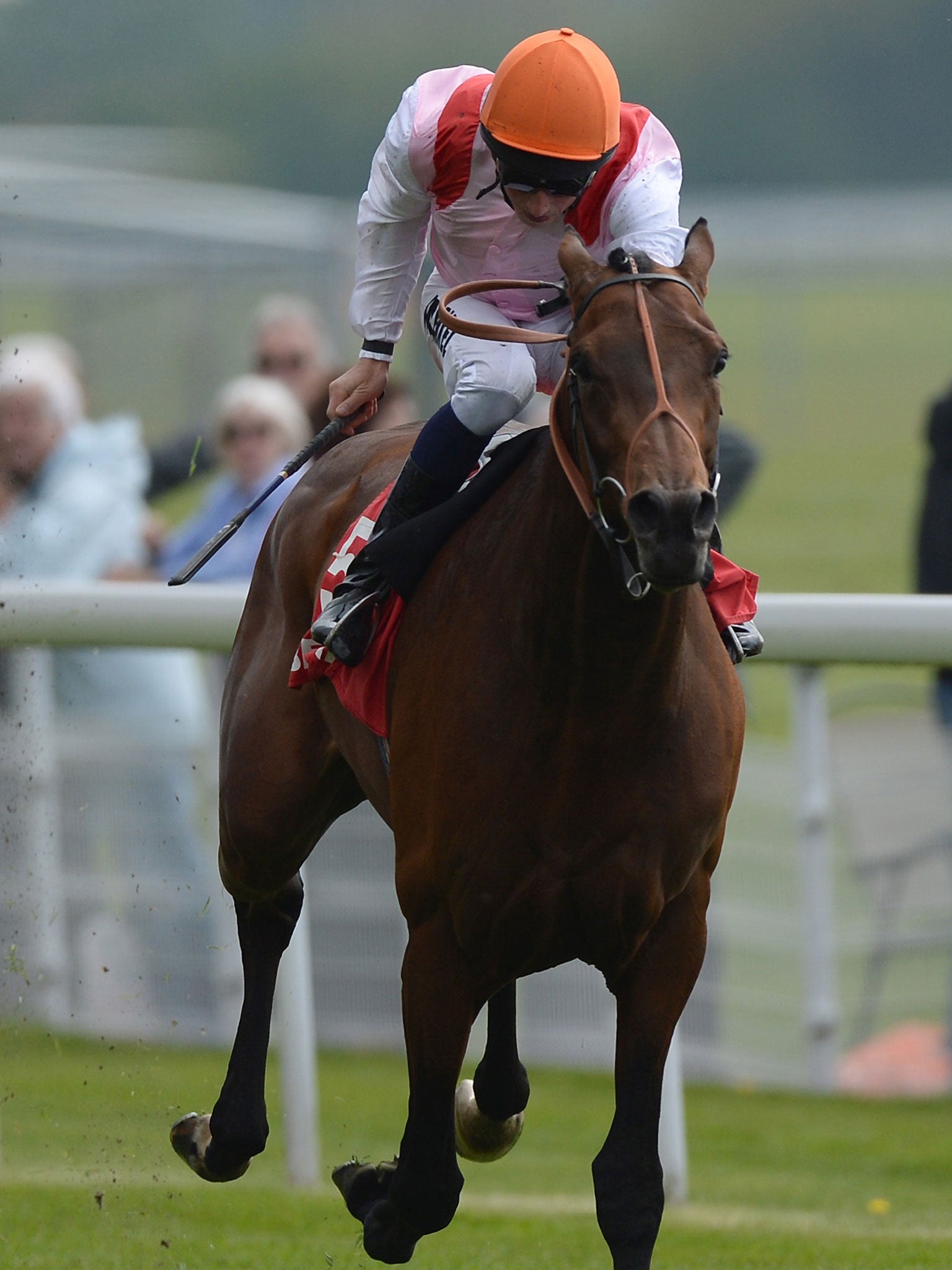 Libertarian was a surprise winner of the Dante for Elaine Burke