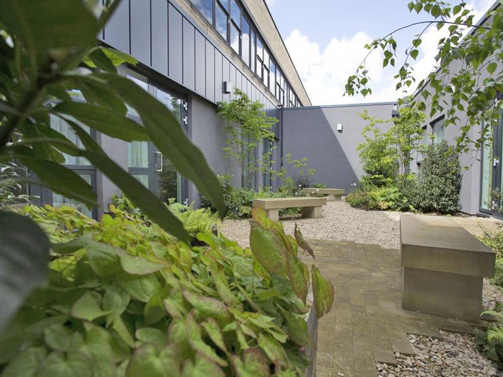 The garden of the new Neo Natal Unit at The Royal United Hospital in Bath